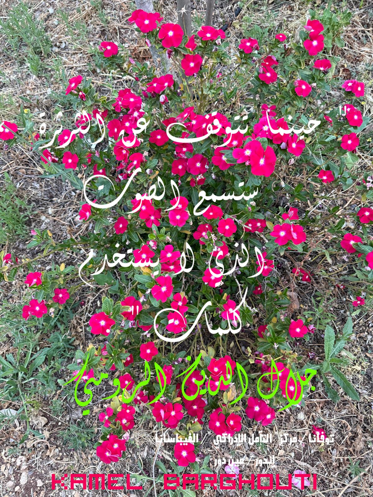 العزلة، الصمت، والتأمل – اقتباس 83