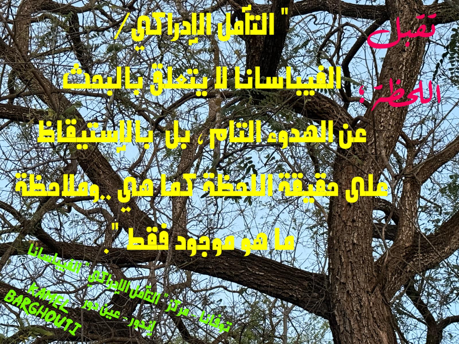 حكمة – اقتباس 313
