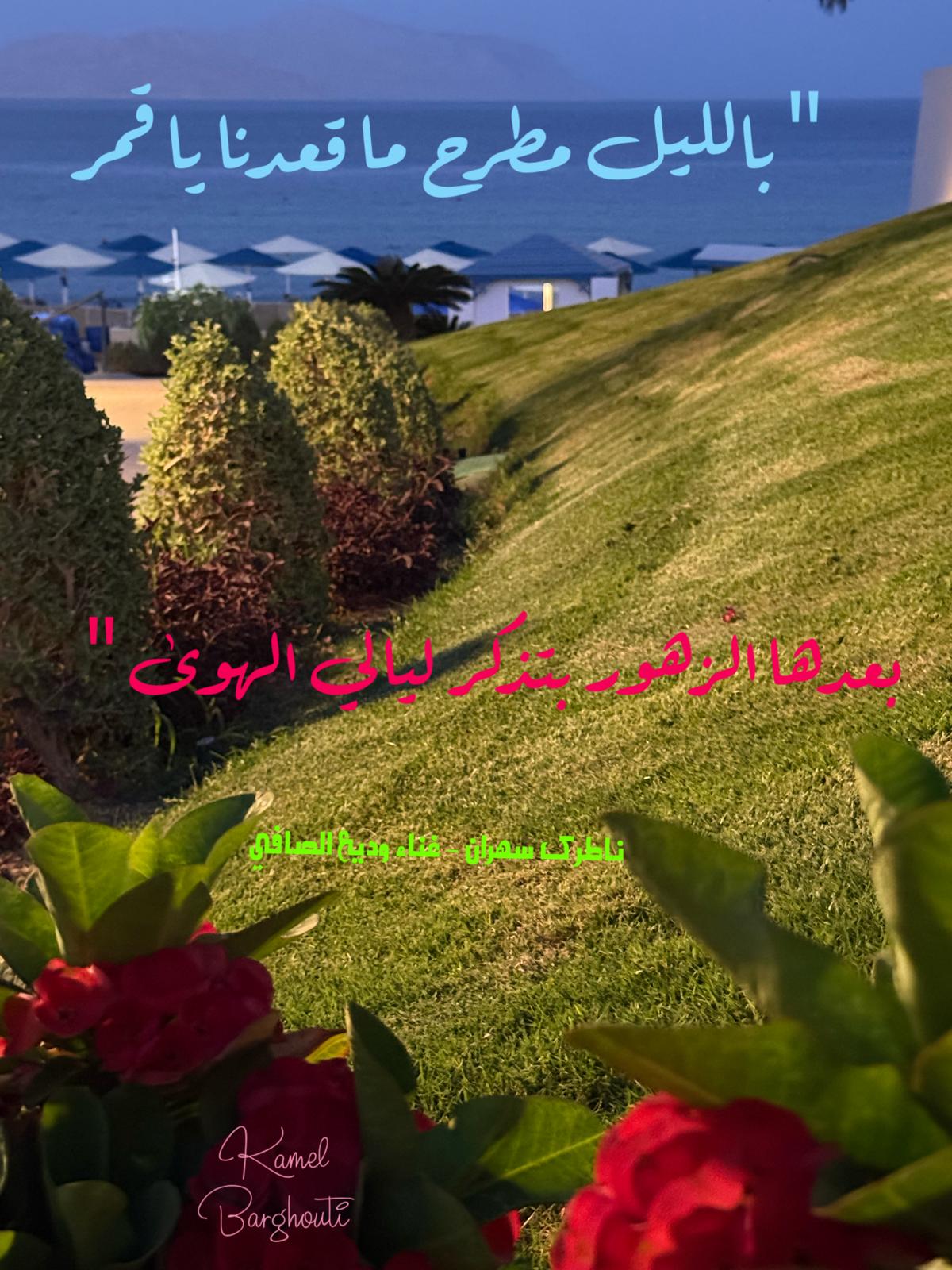 تفاؤل, أمل, وسعادة – اقتباس 385