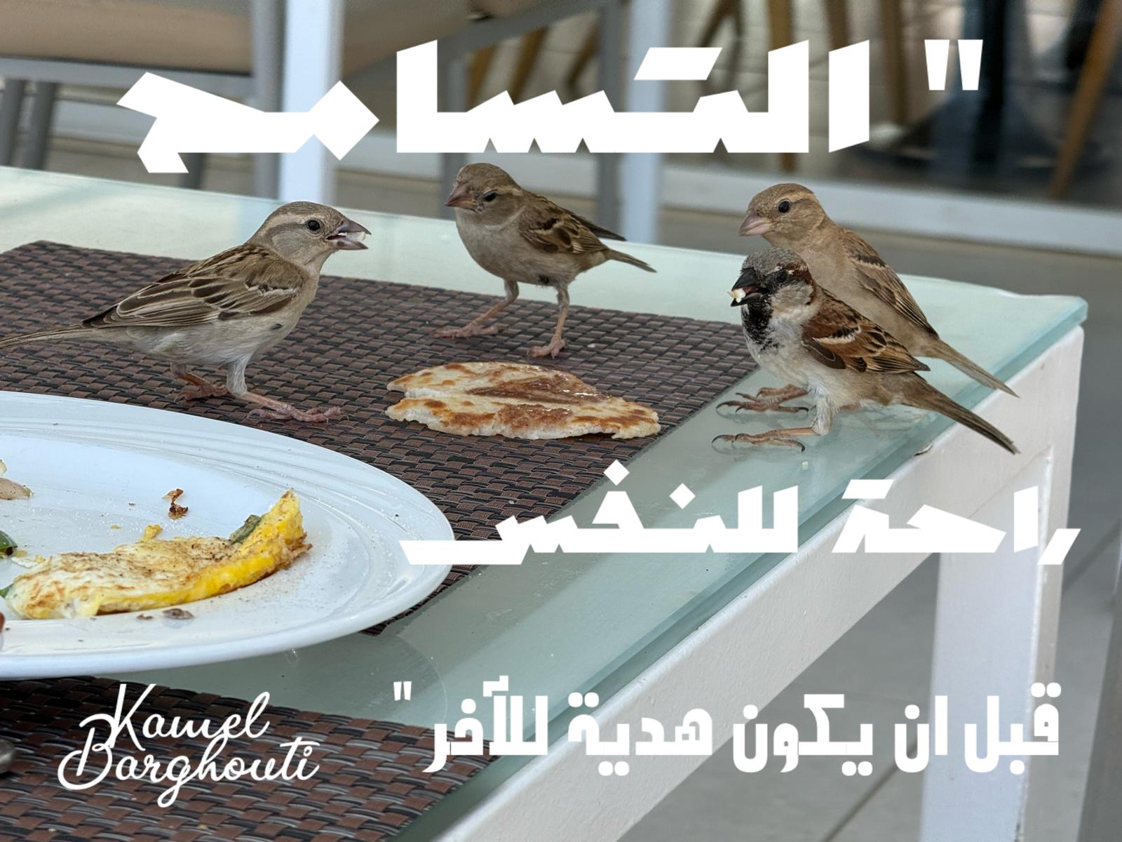 تسامح – اقتباس 34