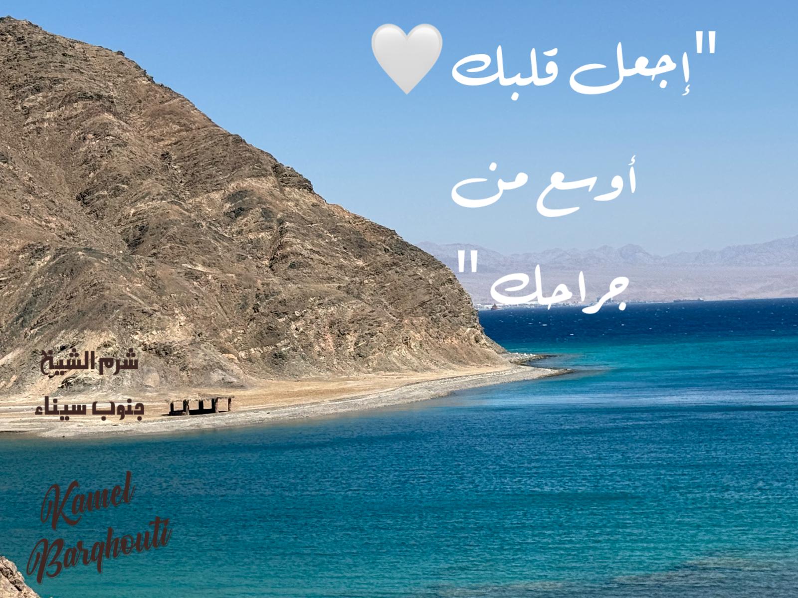 حكمة – اقتباس 308