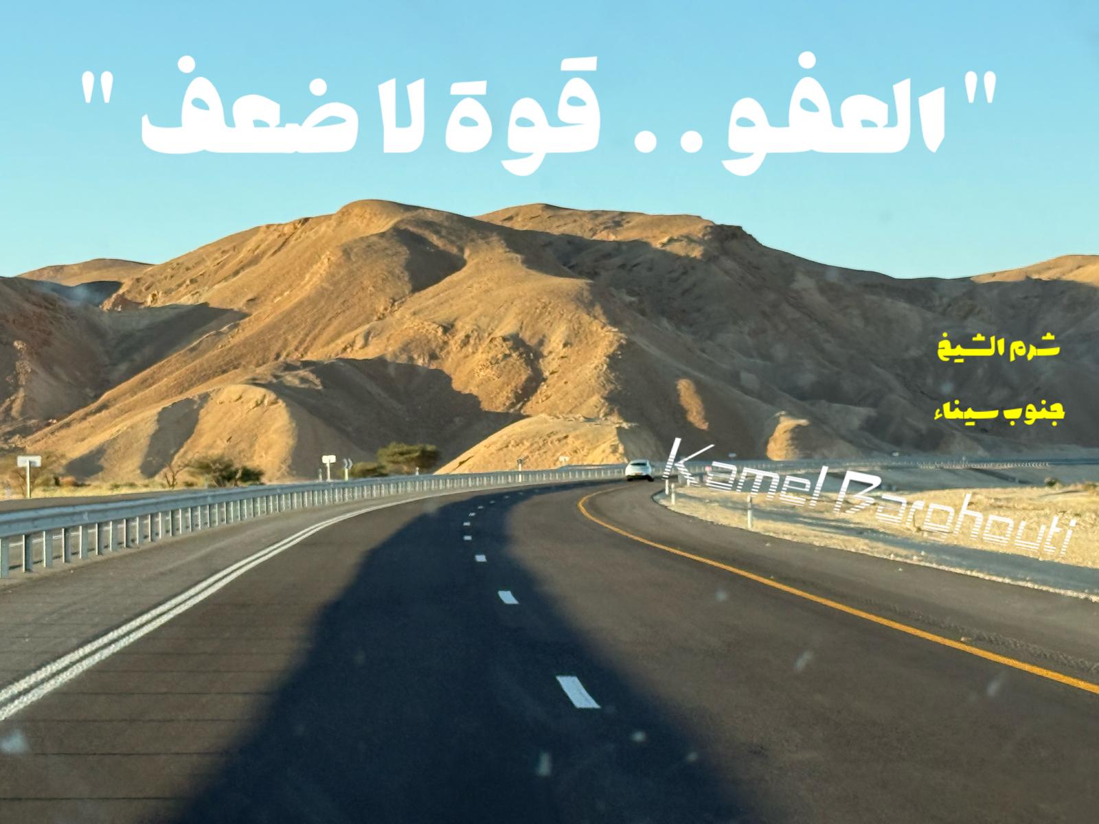تسامح – اقتباس 33