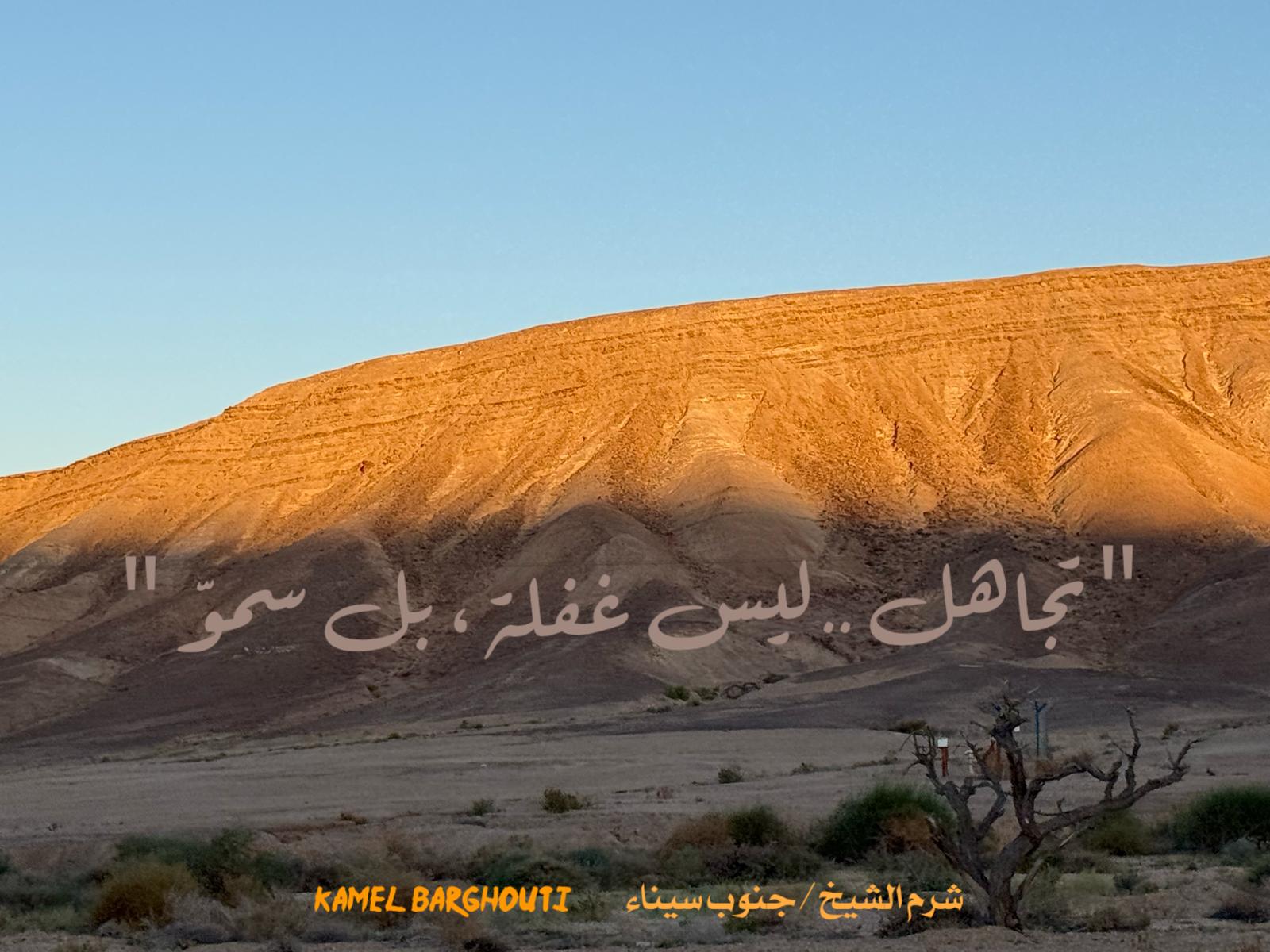 حكمة – اقتباس 305