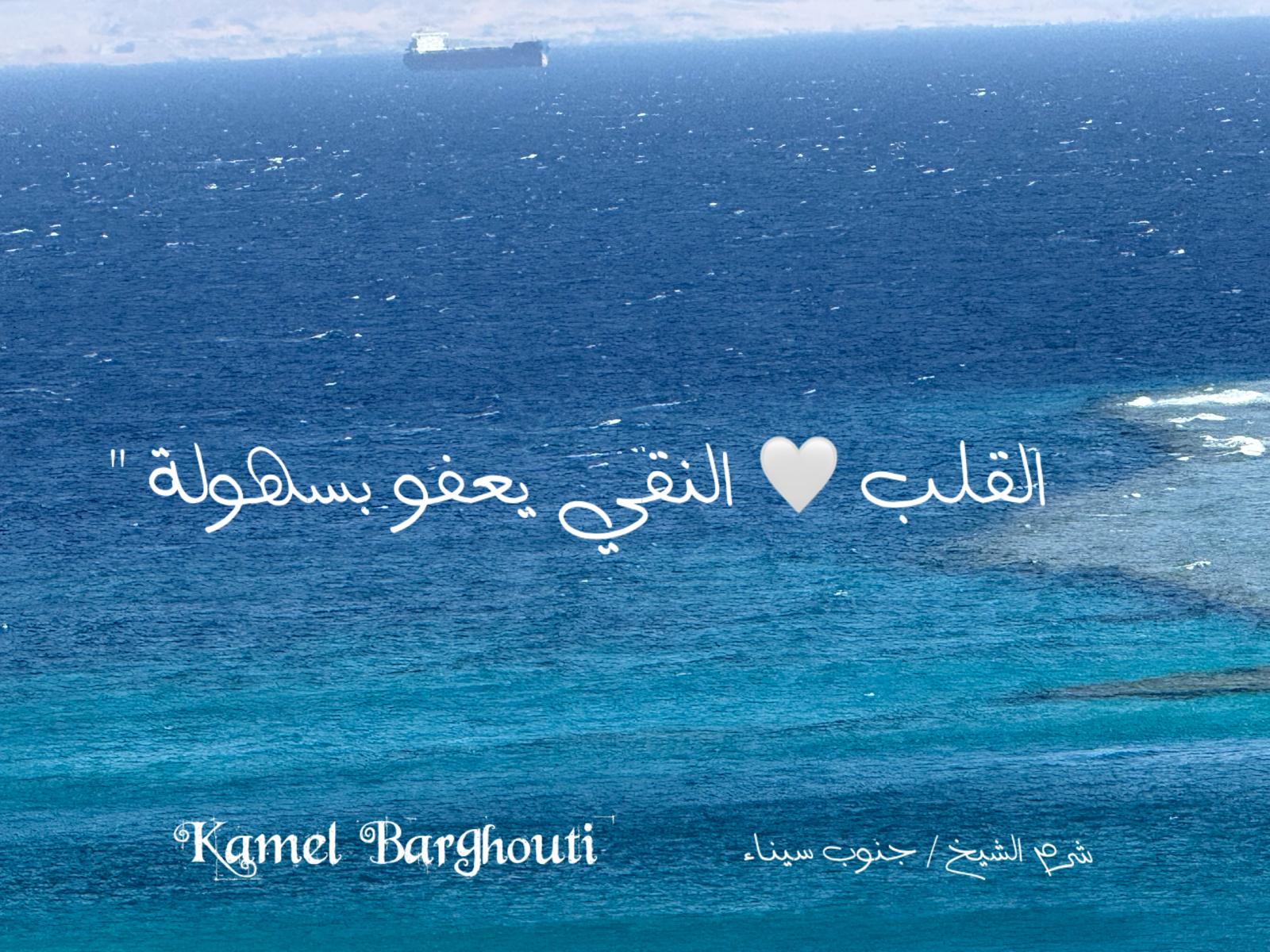 تسامح – اقتباس 32