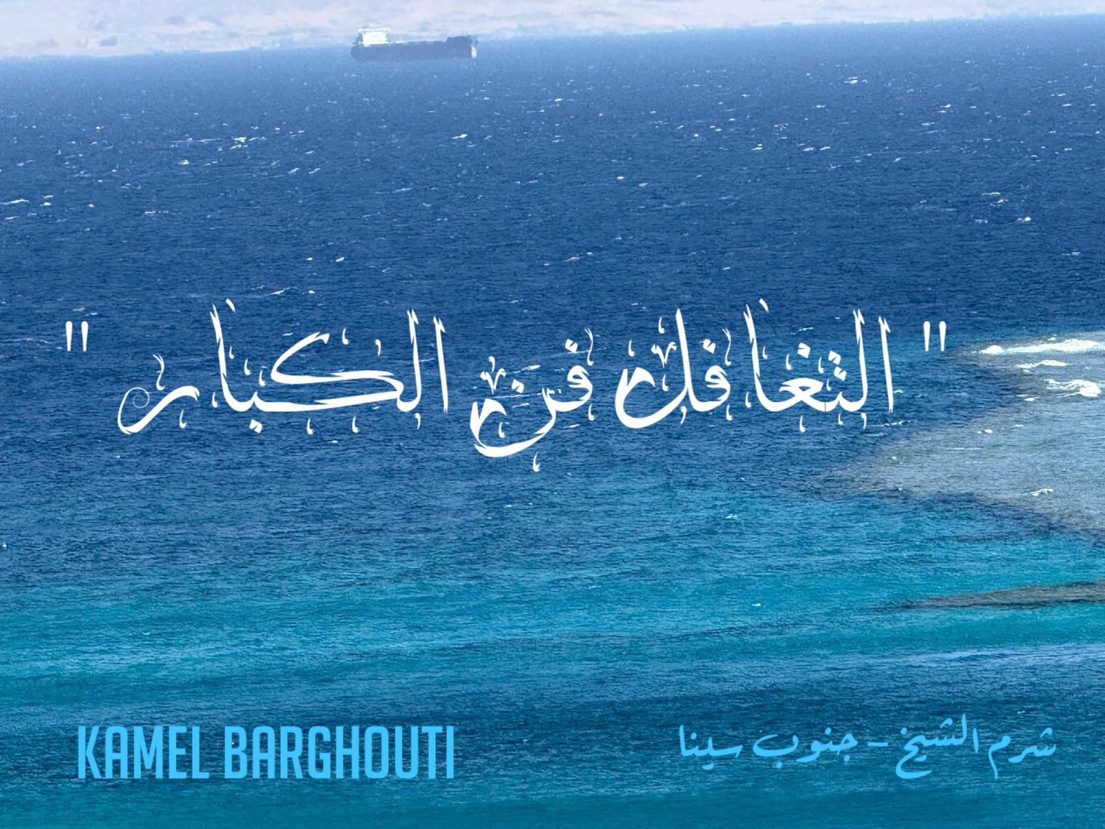 حكمة – اقتباس 304