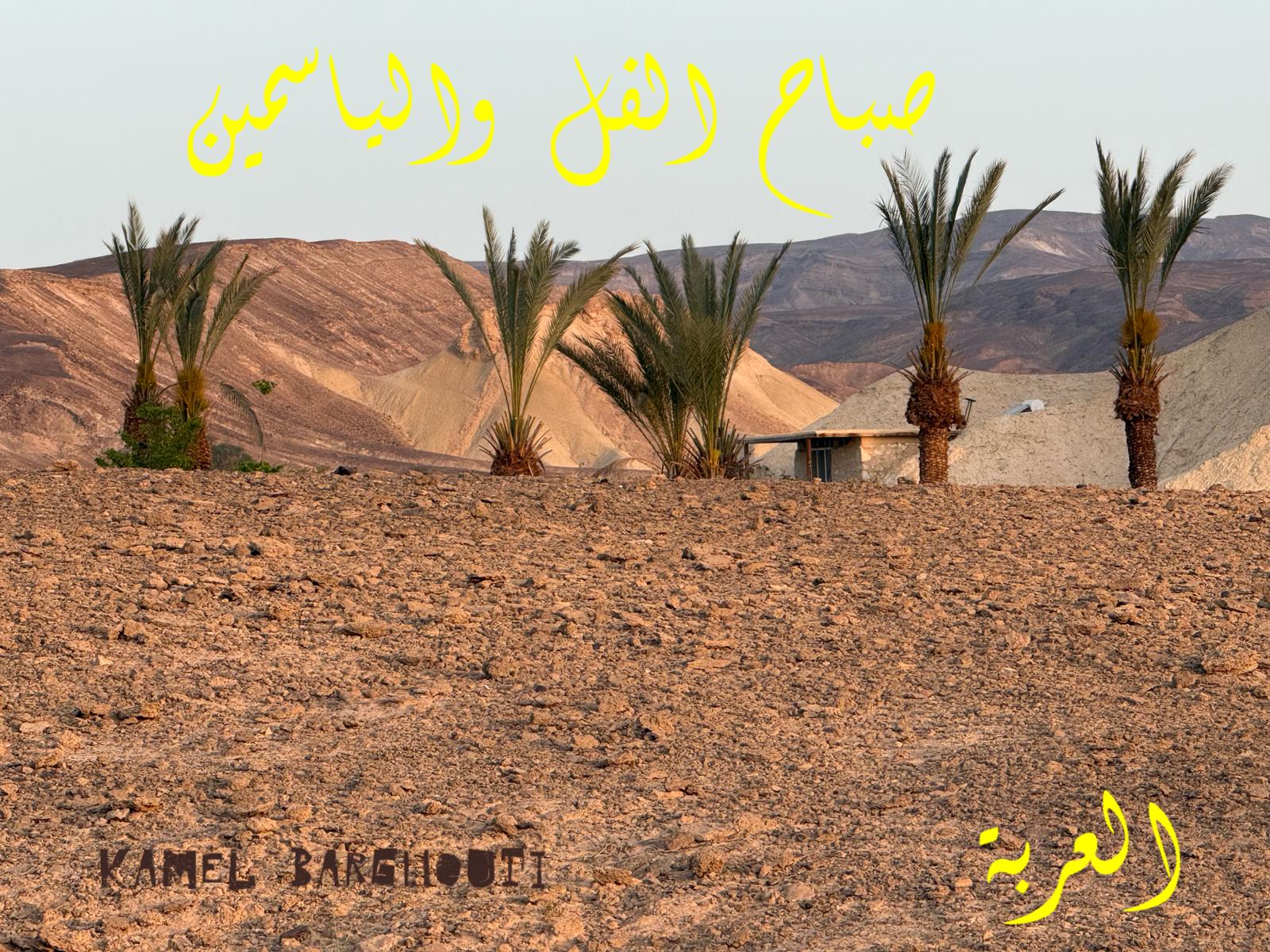 صباح الخير – اقتباس 121