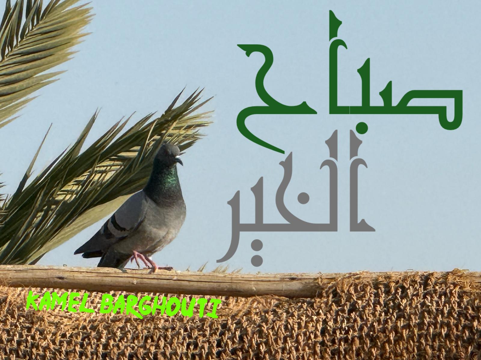 صباح الخير – اقتباس 120