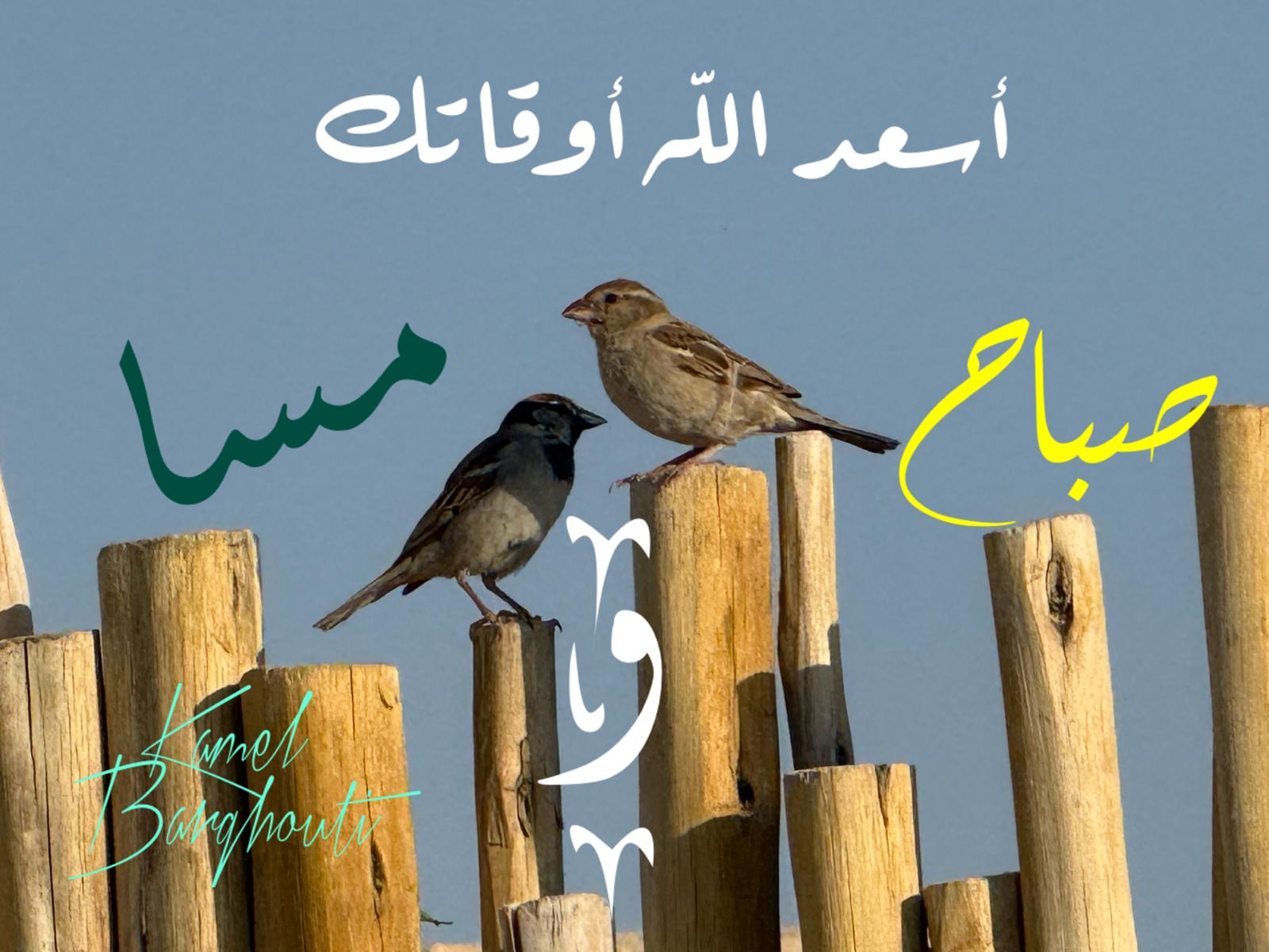 التحيات والتمنيات – اقتباس 30