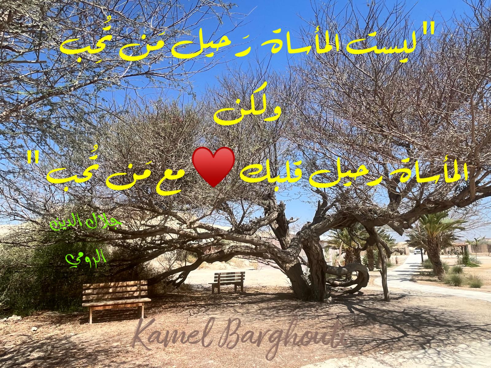 حب وحنين – اقتباس 554
