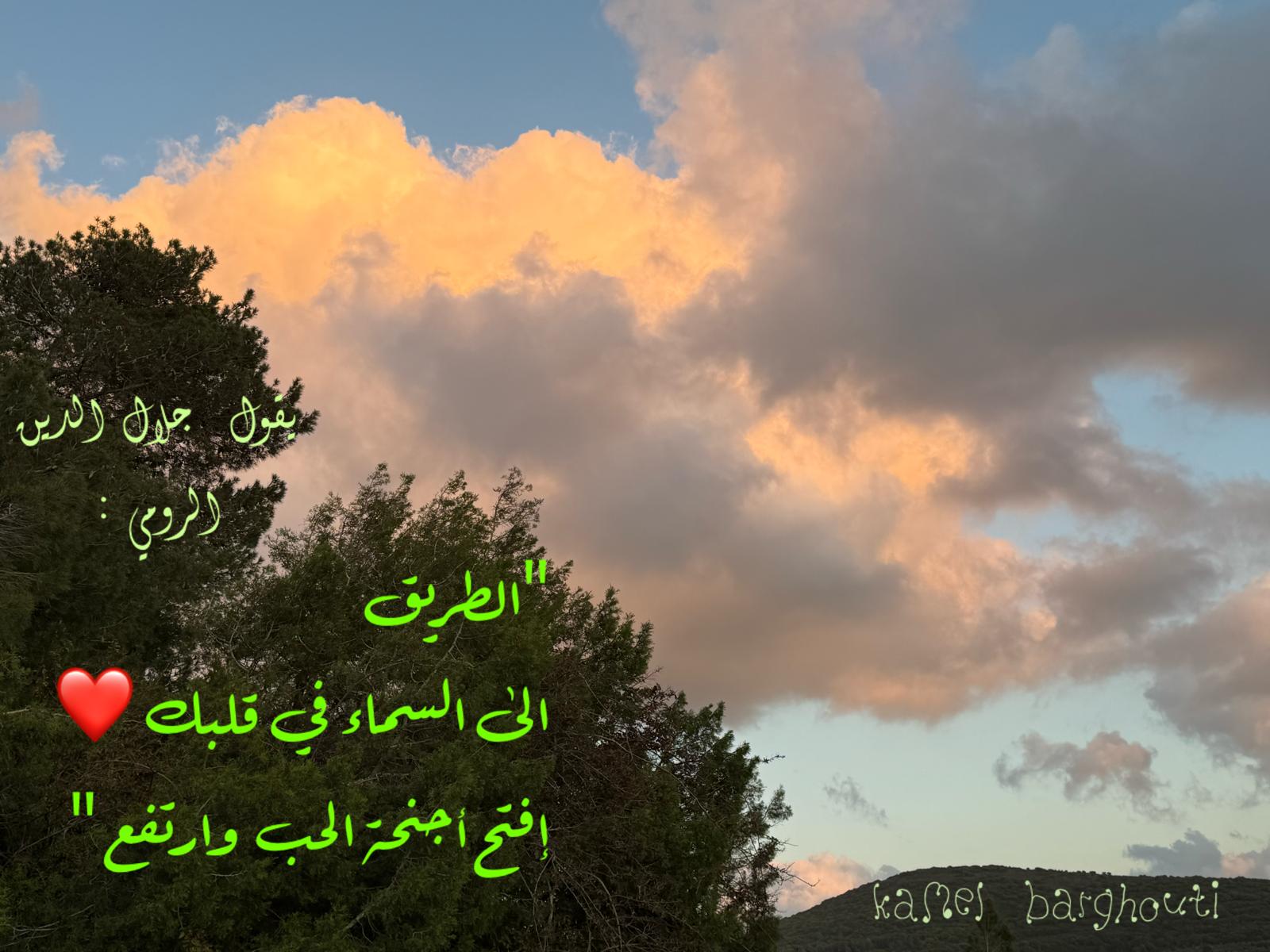 العزيمة والإصرار والثقة بالنفس – اقتباس 288