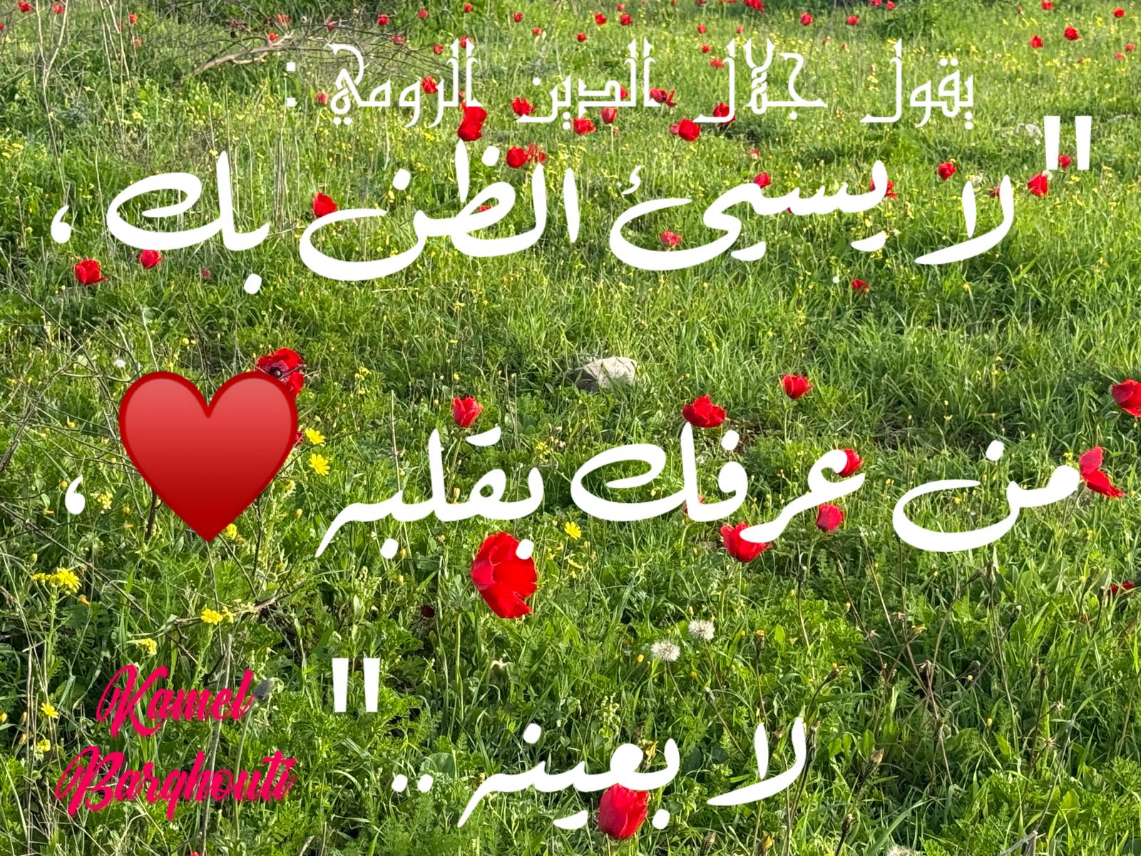 كلام جميل – اقتباس 601