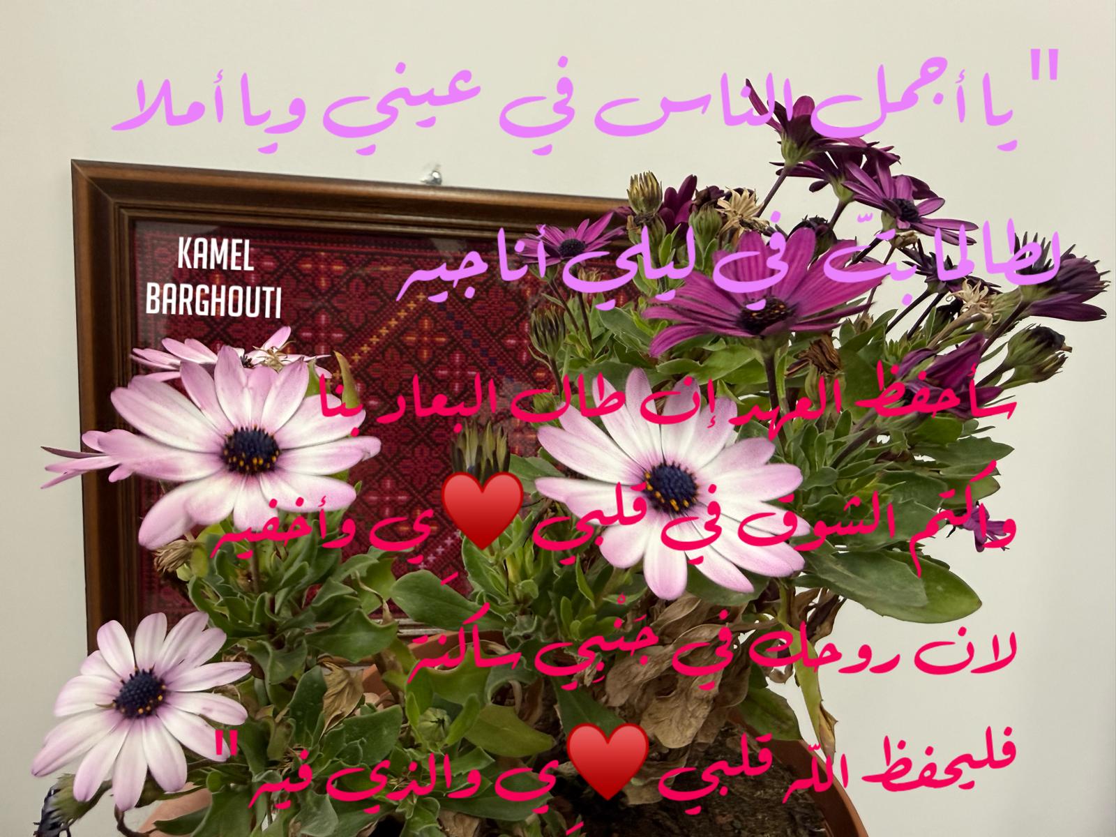 حب وحنين – اقتباس 551
