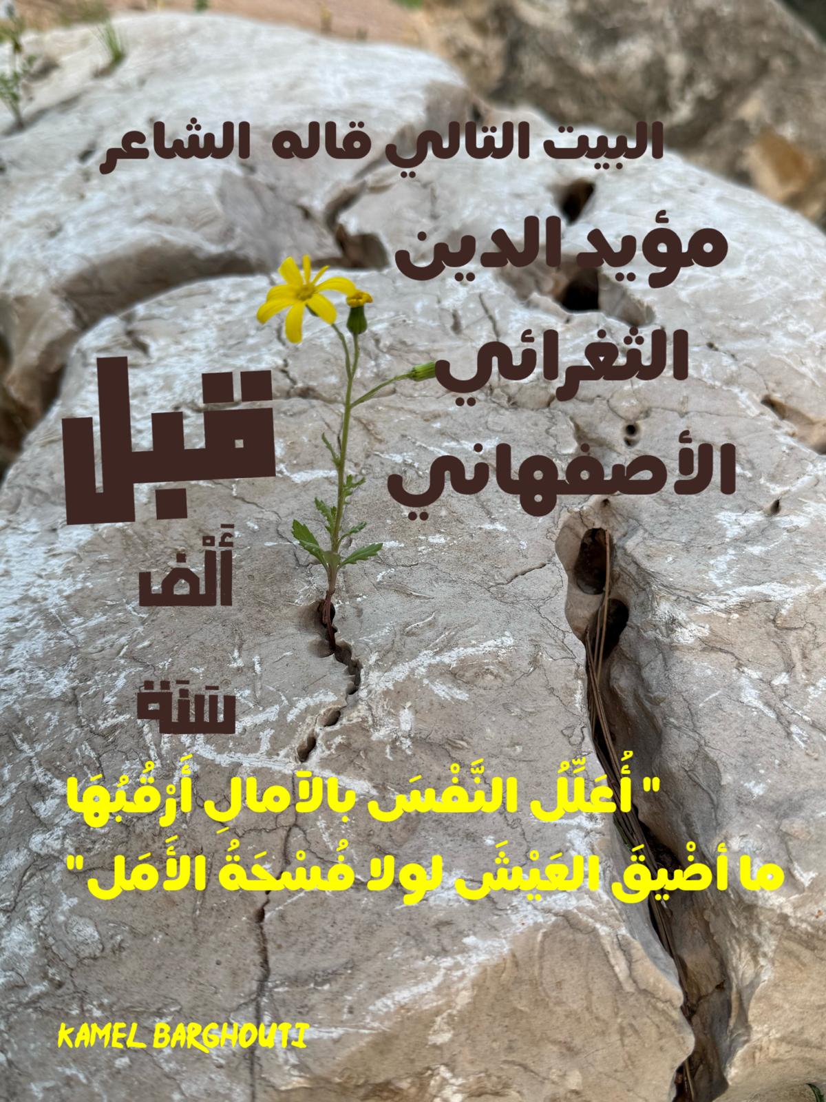 علم وعمل – اقتباس 53