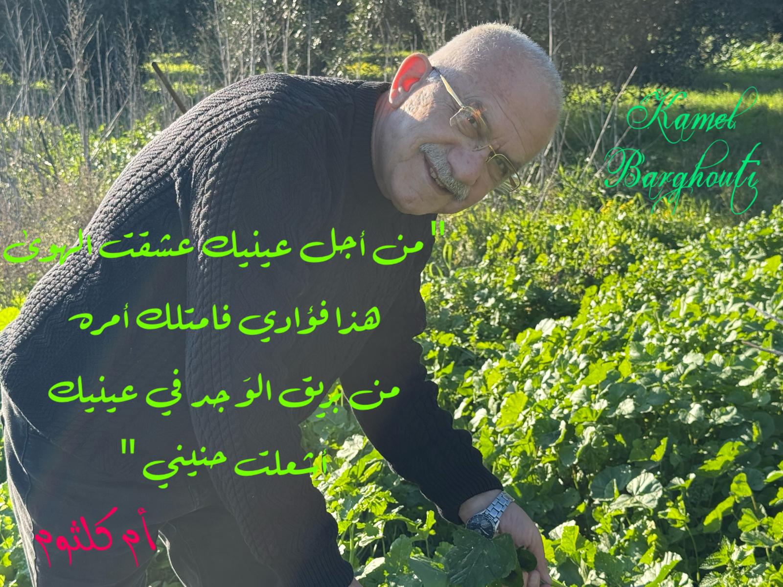 حب وحنين – اقتباس 547