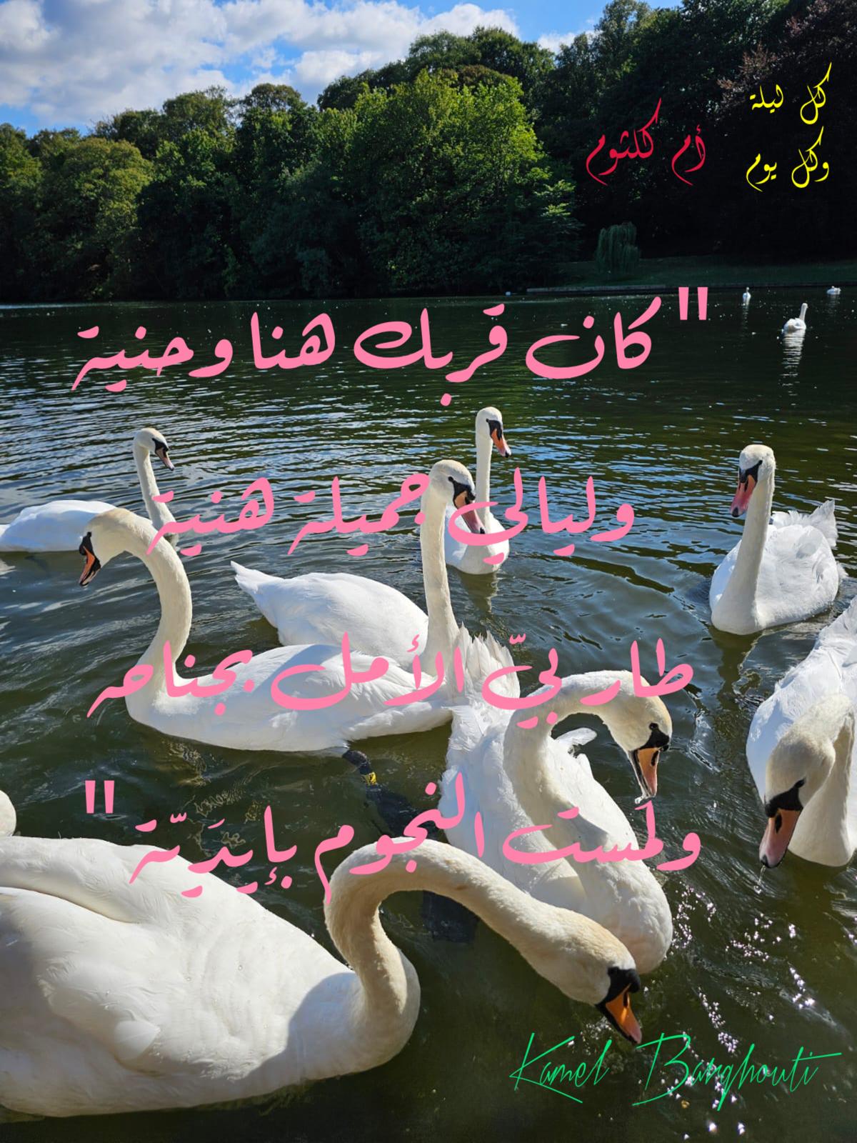 حب وحنين – اقتباس 545