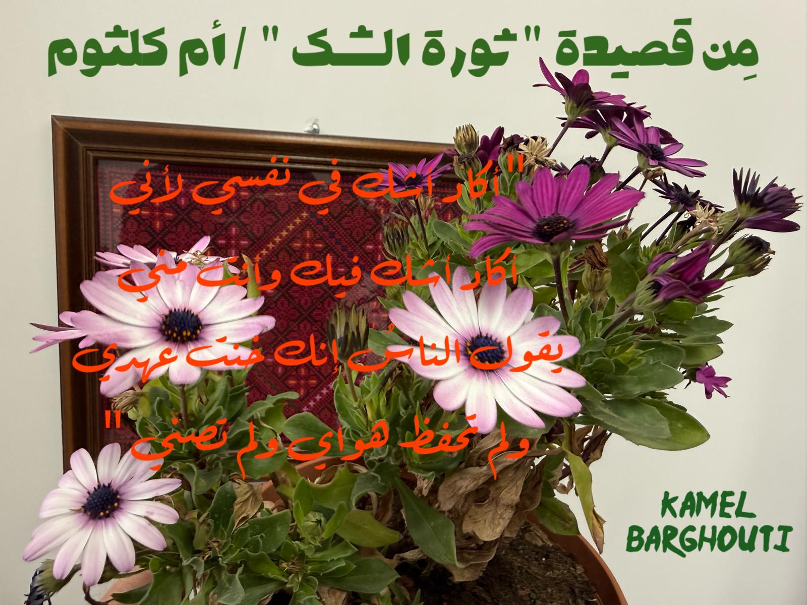 حب وحنين – اقتباس 544