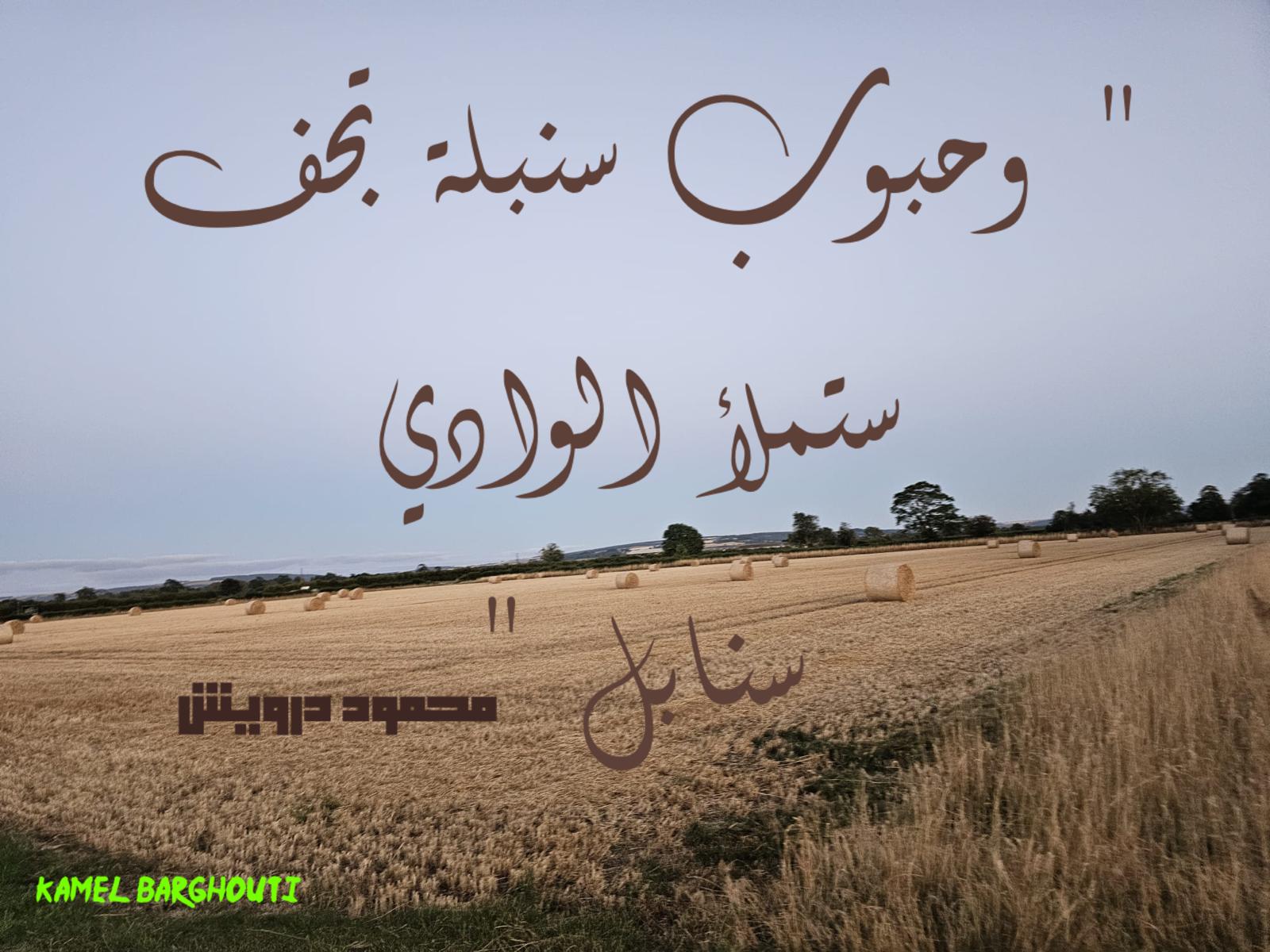 علم وعمل – اقتباس 51