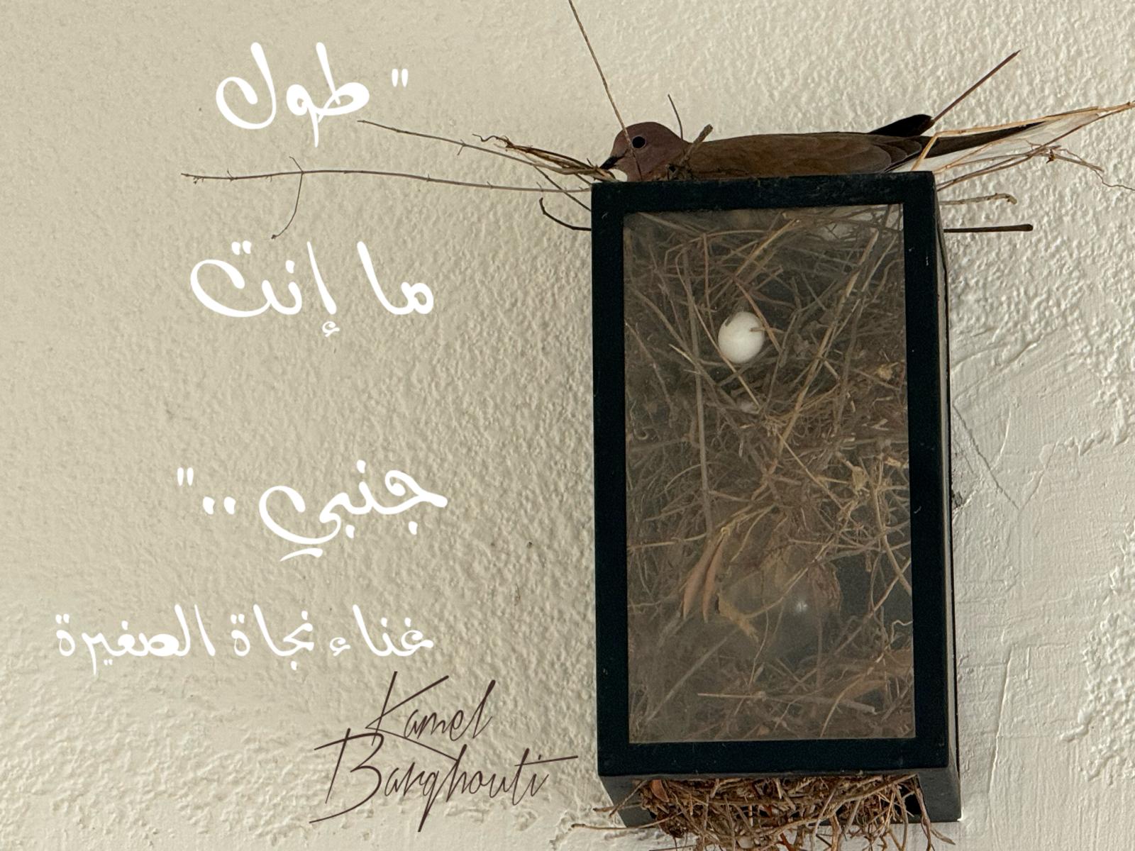 حب وحنين – اقتباس 537