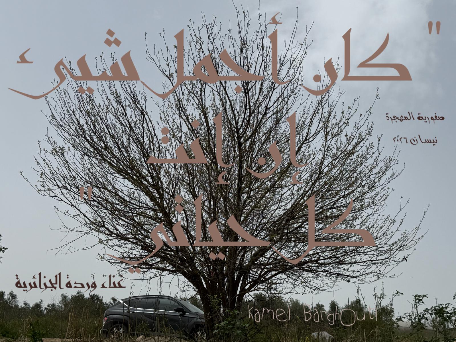 حب وحنين – اقتباس 539