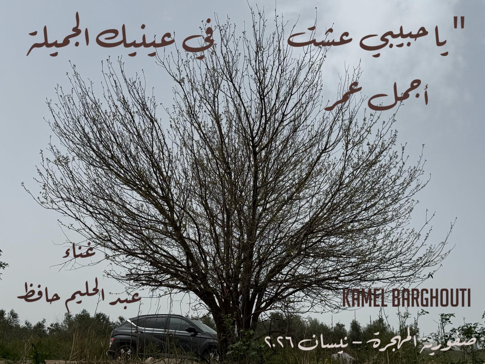 حب وحنين – اقتباس 542