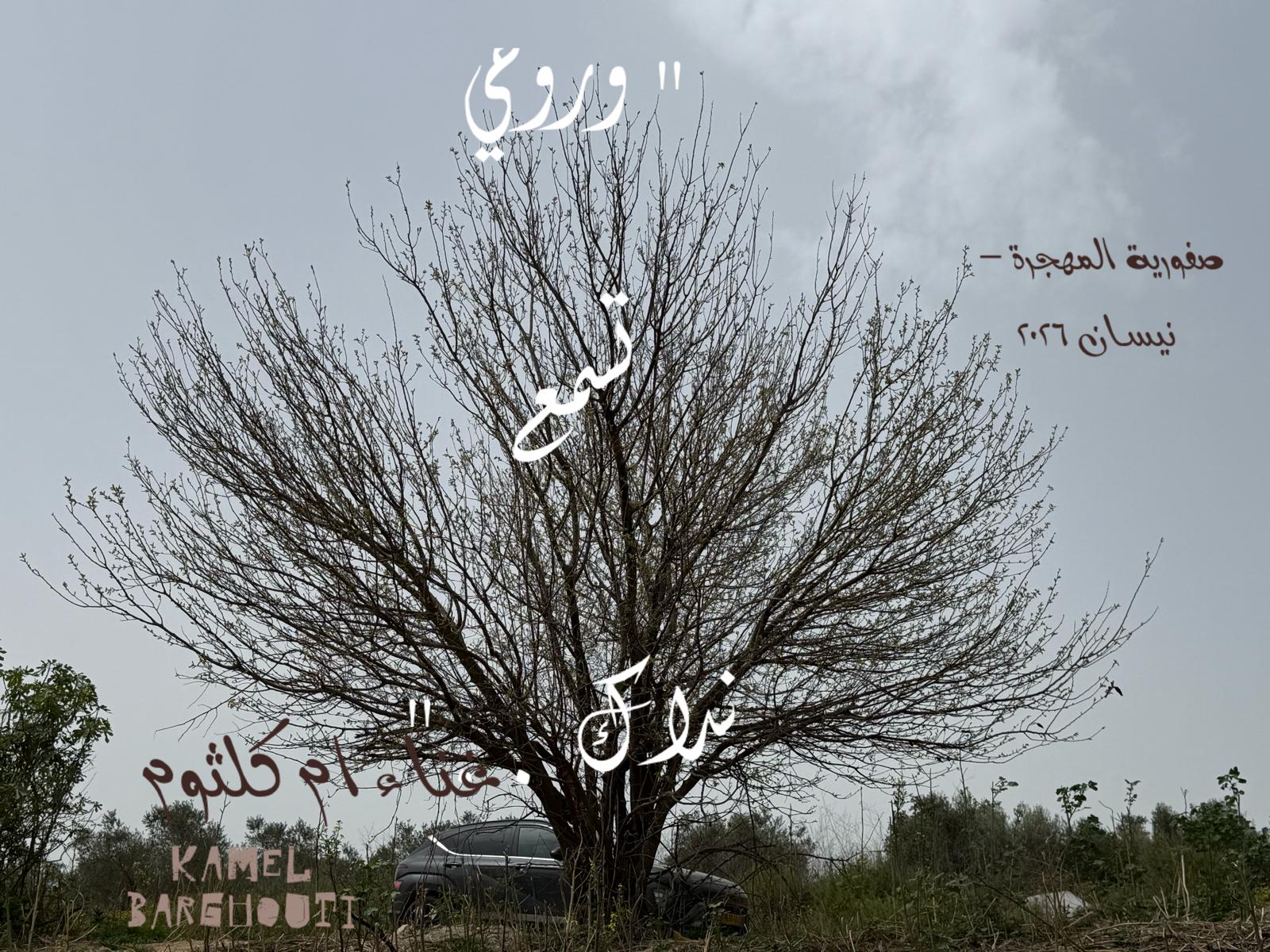 حب وحنين – اقتباس 538