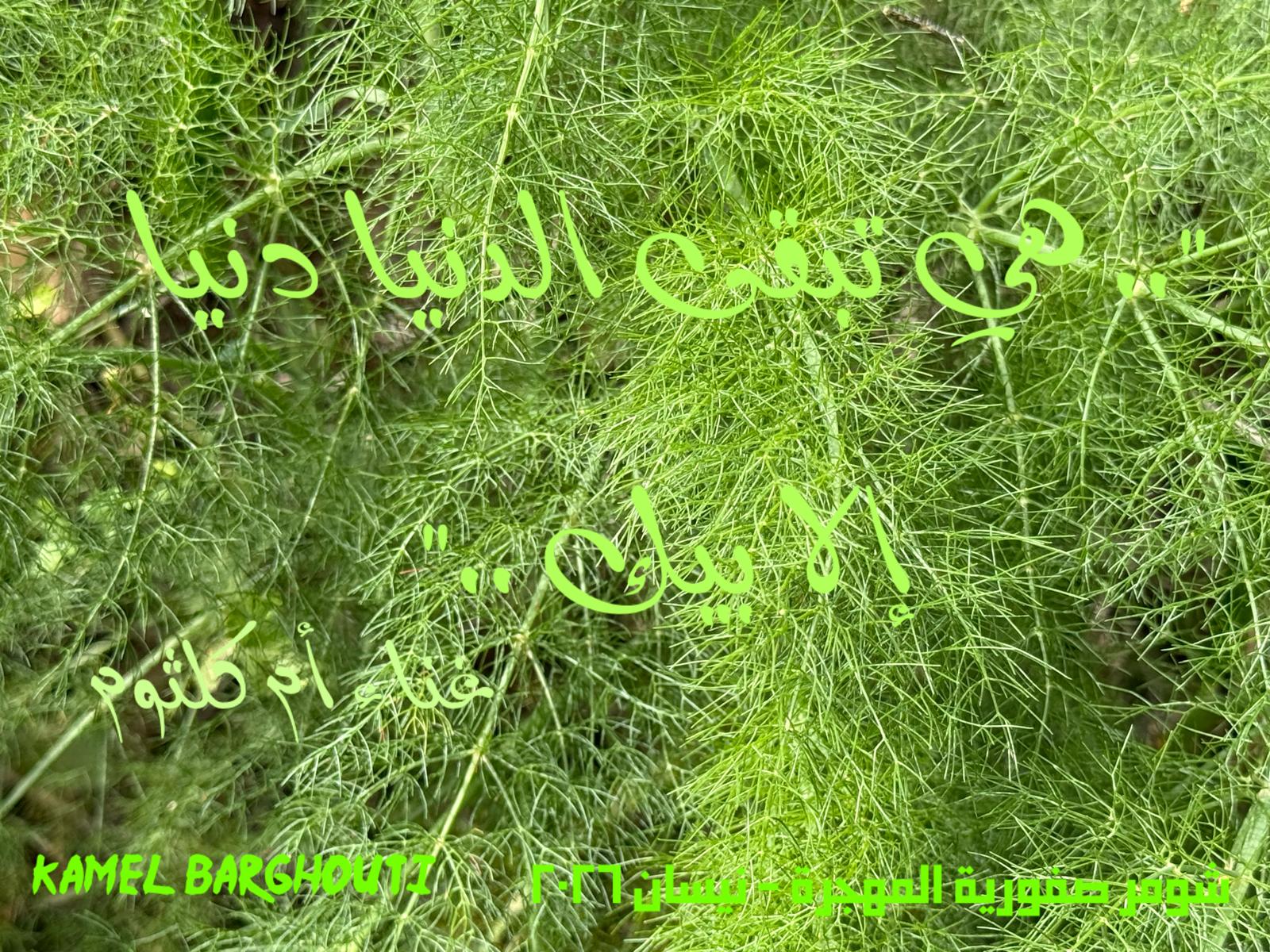 حب وحنين – اقتباس 541