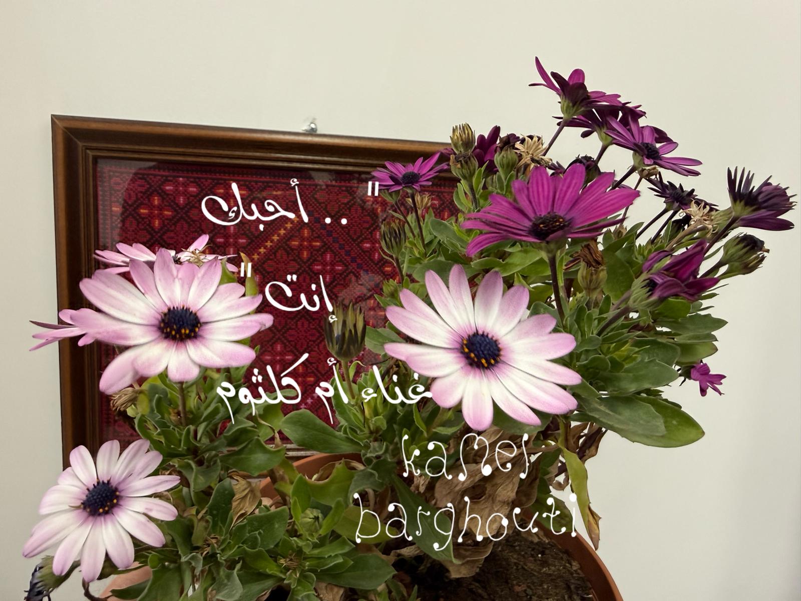 حب وحنين – اقتباس 540