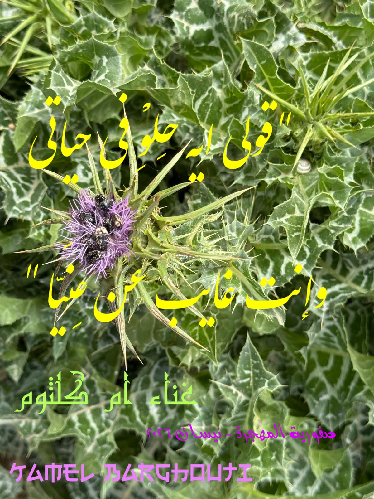 حب وحنين – اقتباس 543