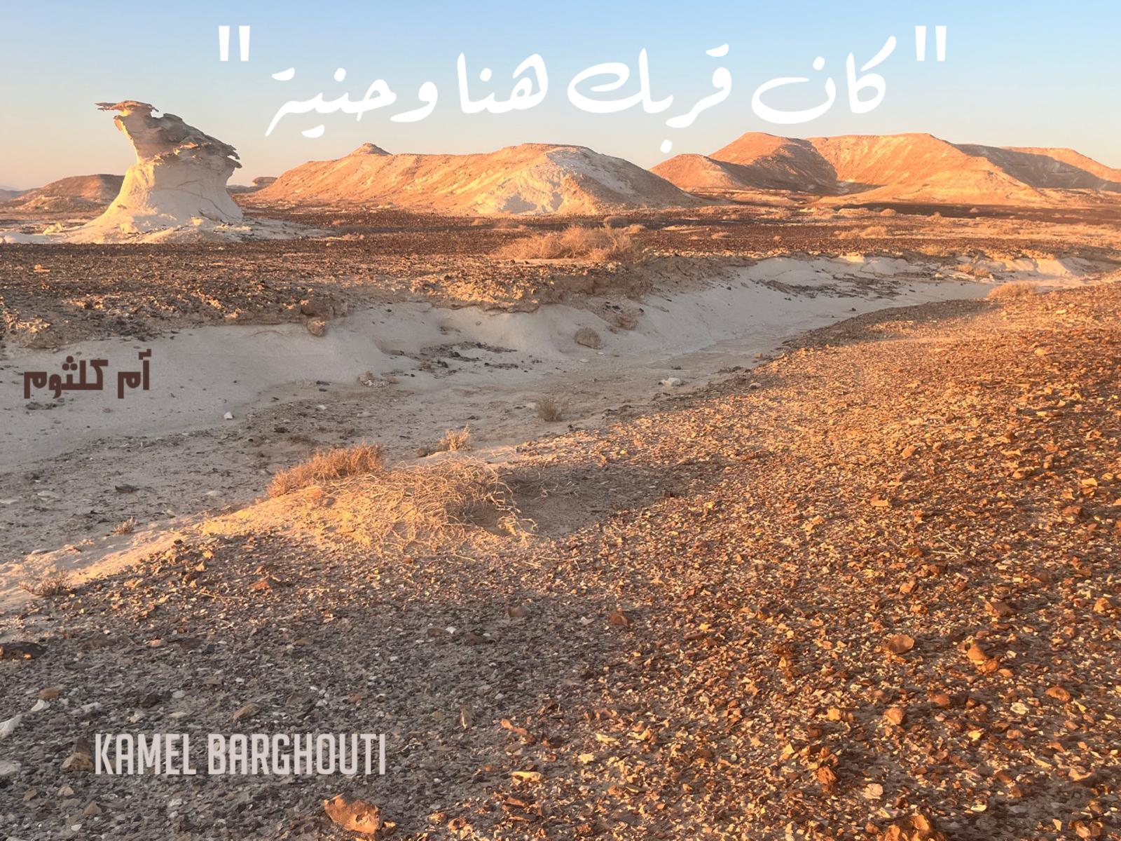 حب وحنين – اقتباس 534