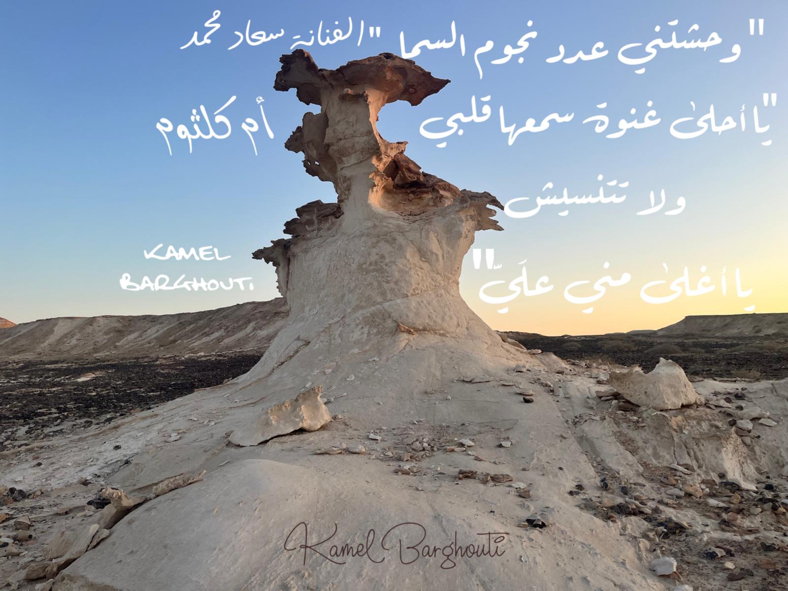 حب وحنين – اقتباس 535