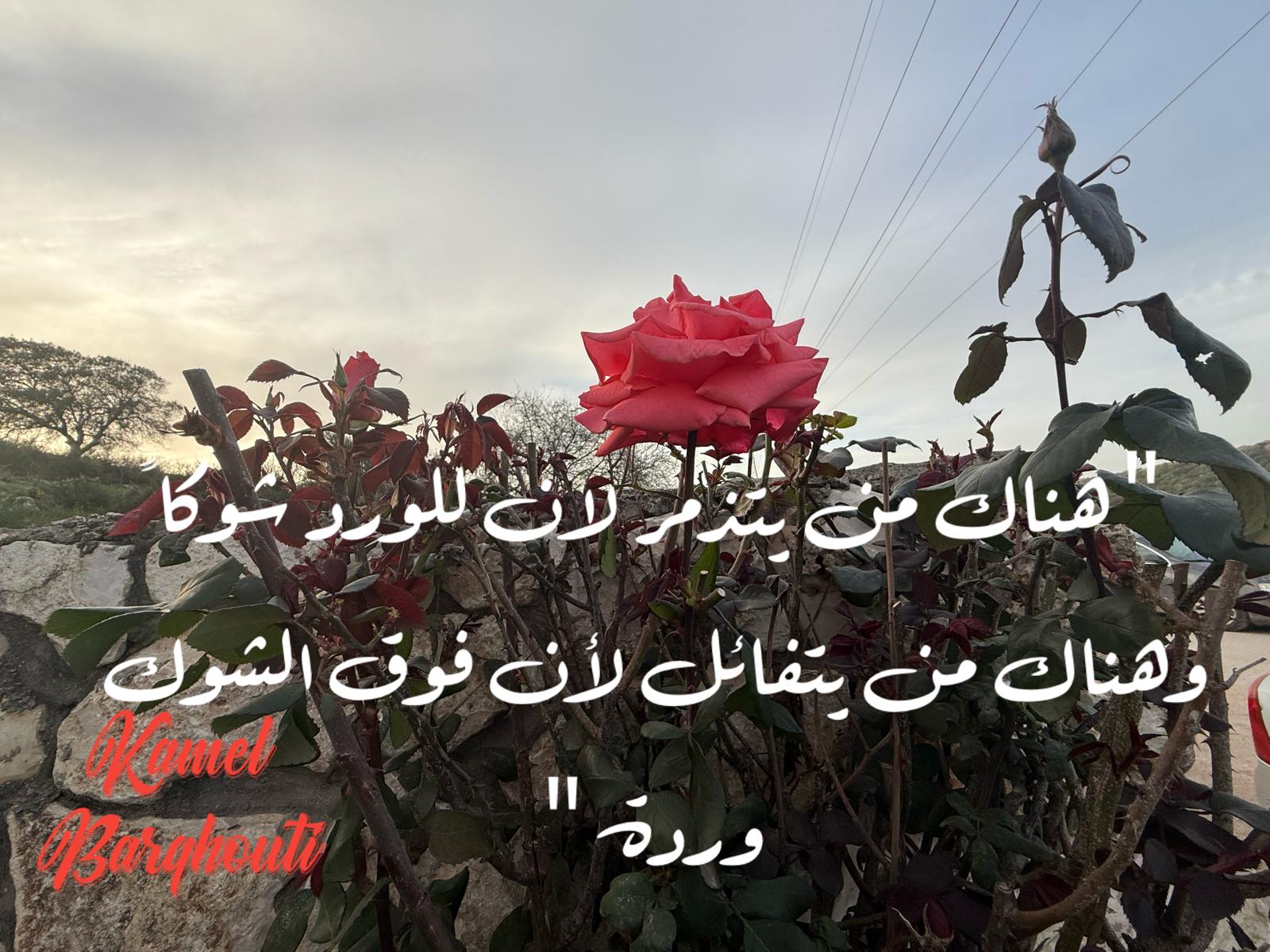 علم وعمل – اقتباس 47
