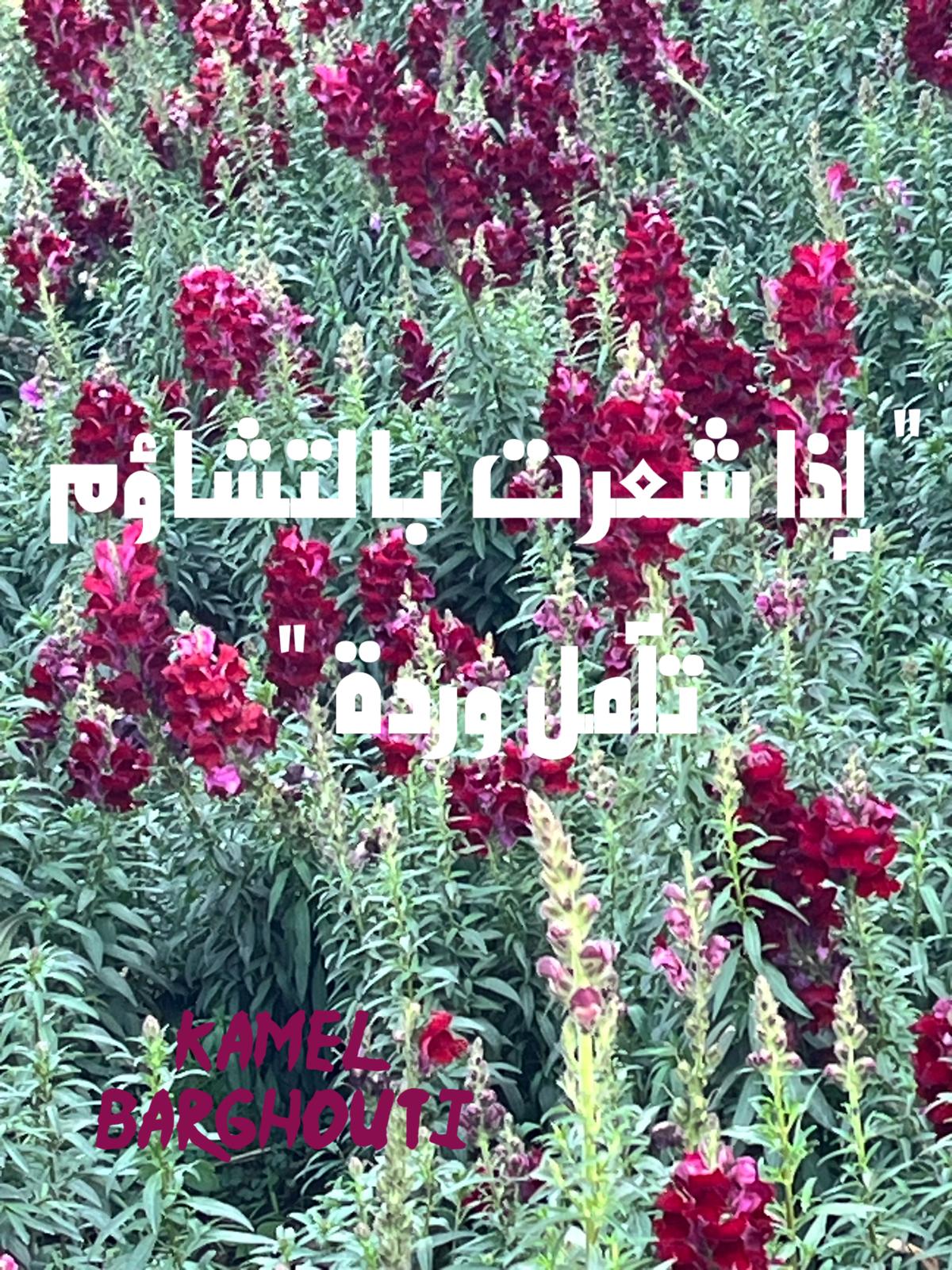 علم وعمل – اقتباس 46