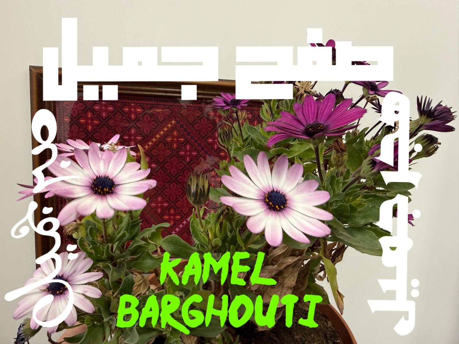 تسامح – اقتباس 27