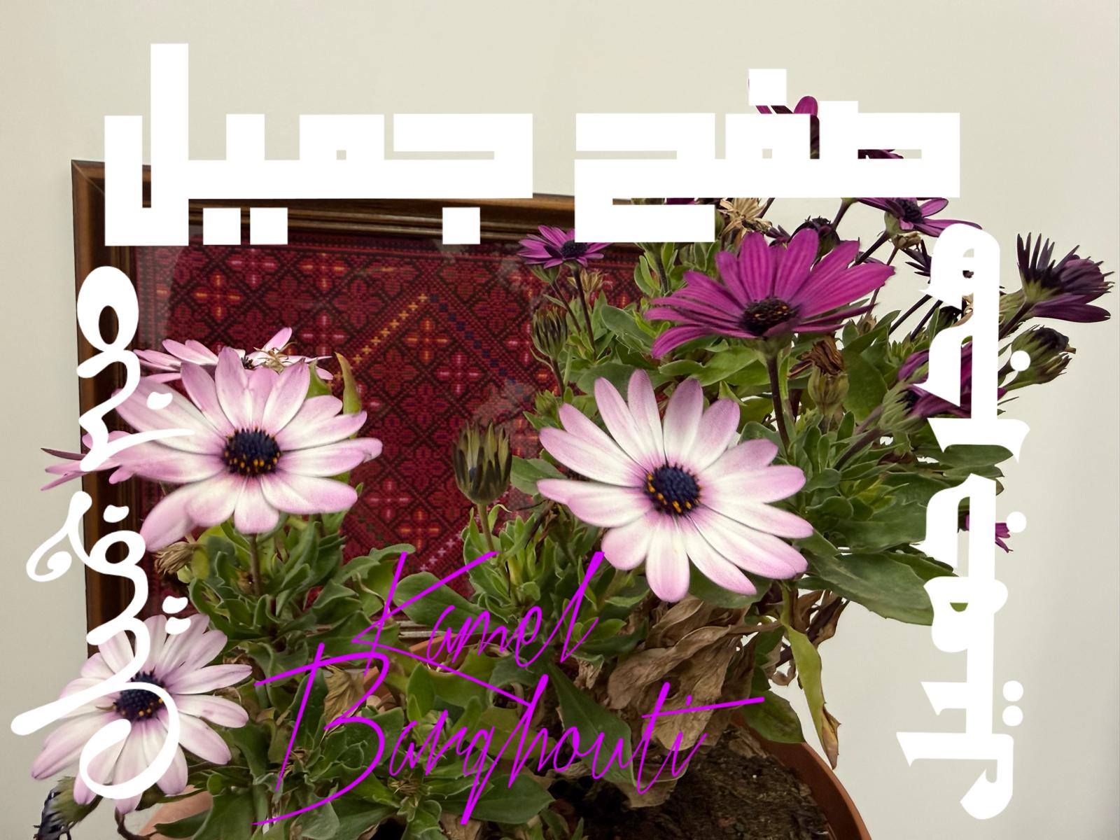 تسامح – اقتباس 26