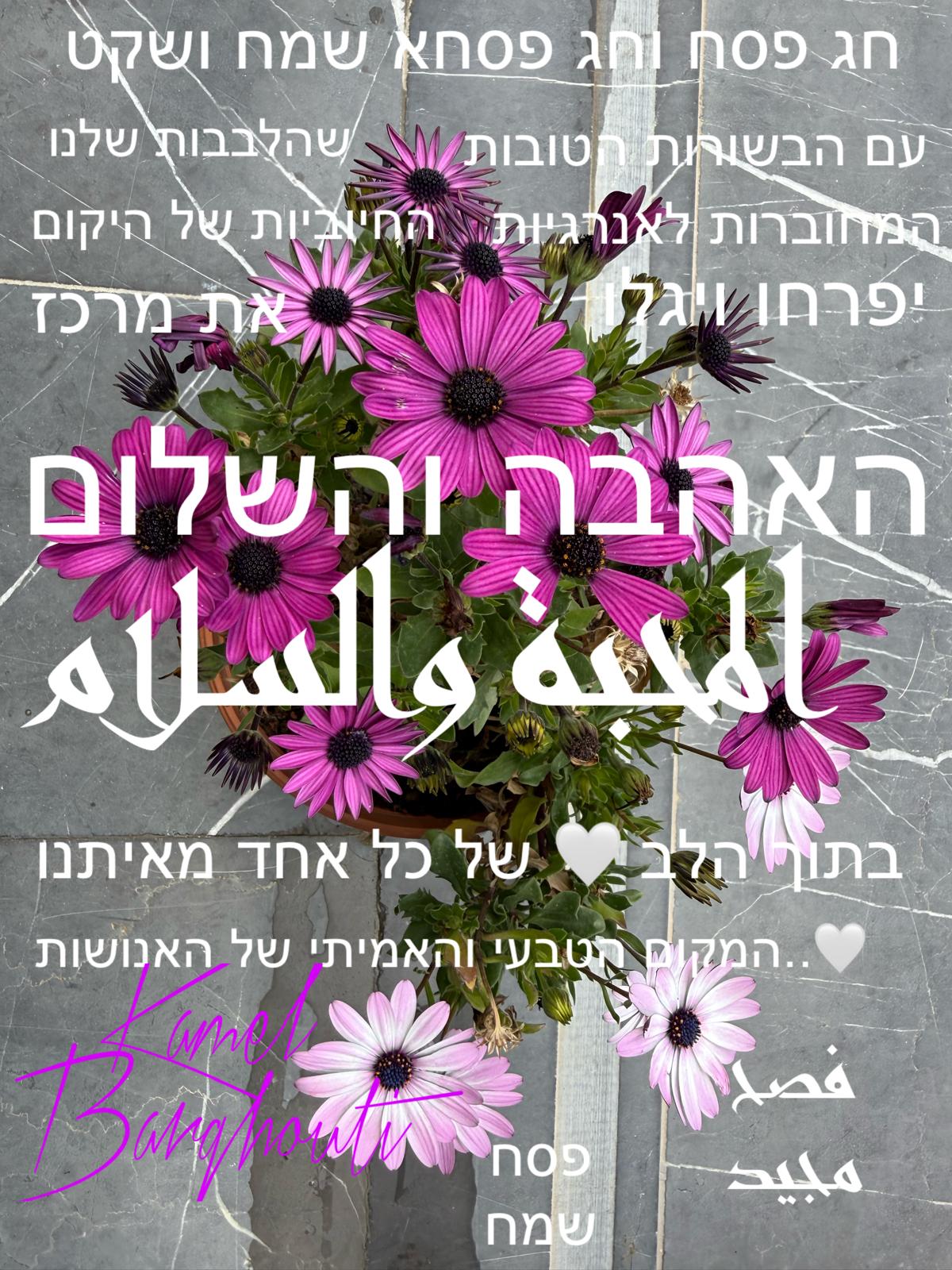 العبرية والأنجليزية – اقتباس 31