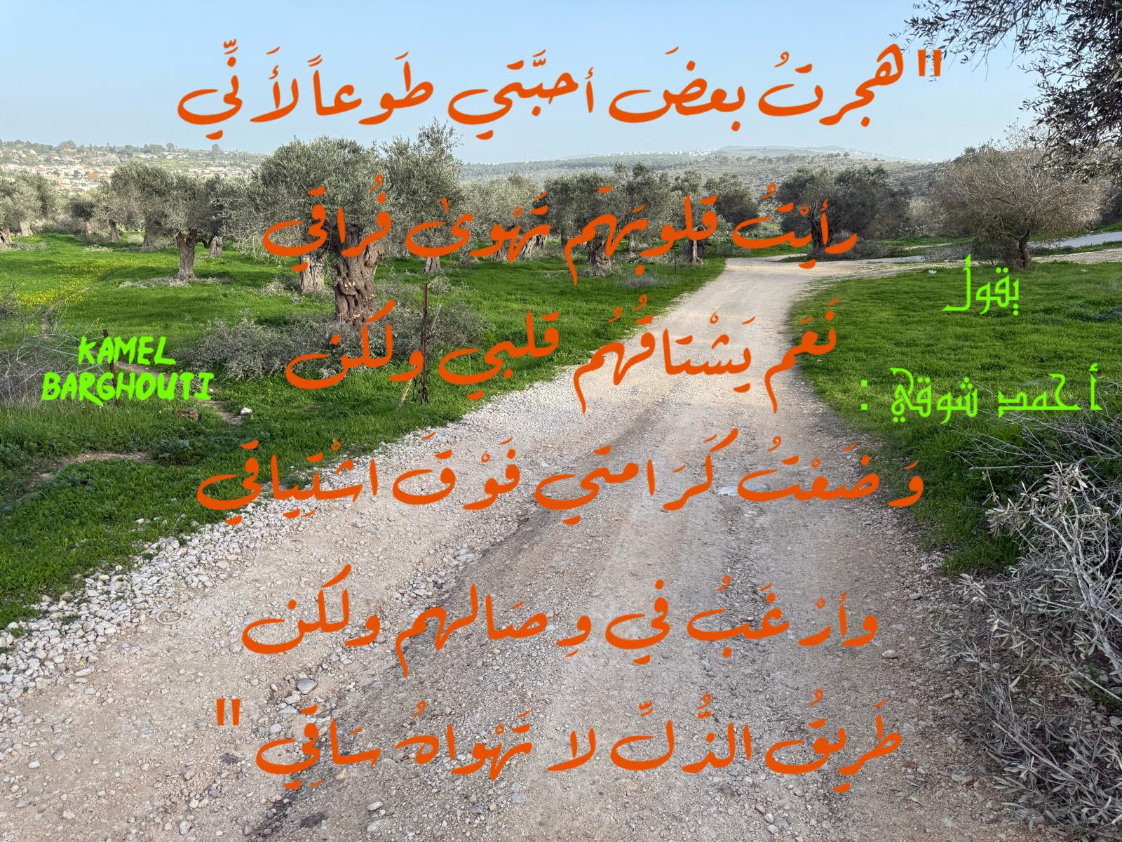 عزة النفس – اقتباس 10