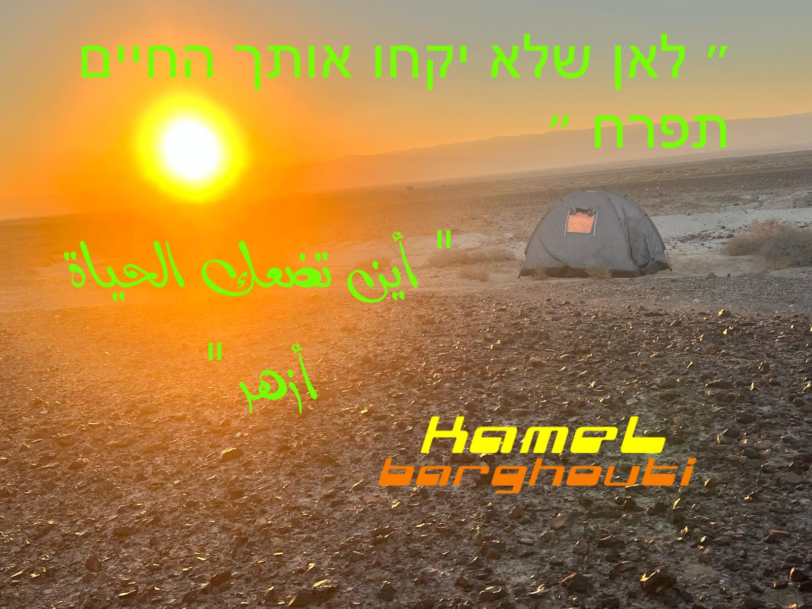 العبرية والأنجليزية – اقتباس 30