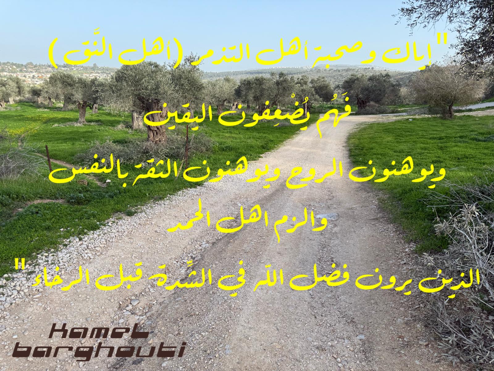 العزيمة والإصرار والثقة بالنفس – اقتباس 279