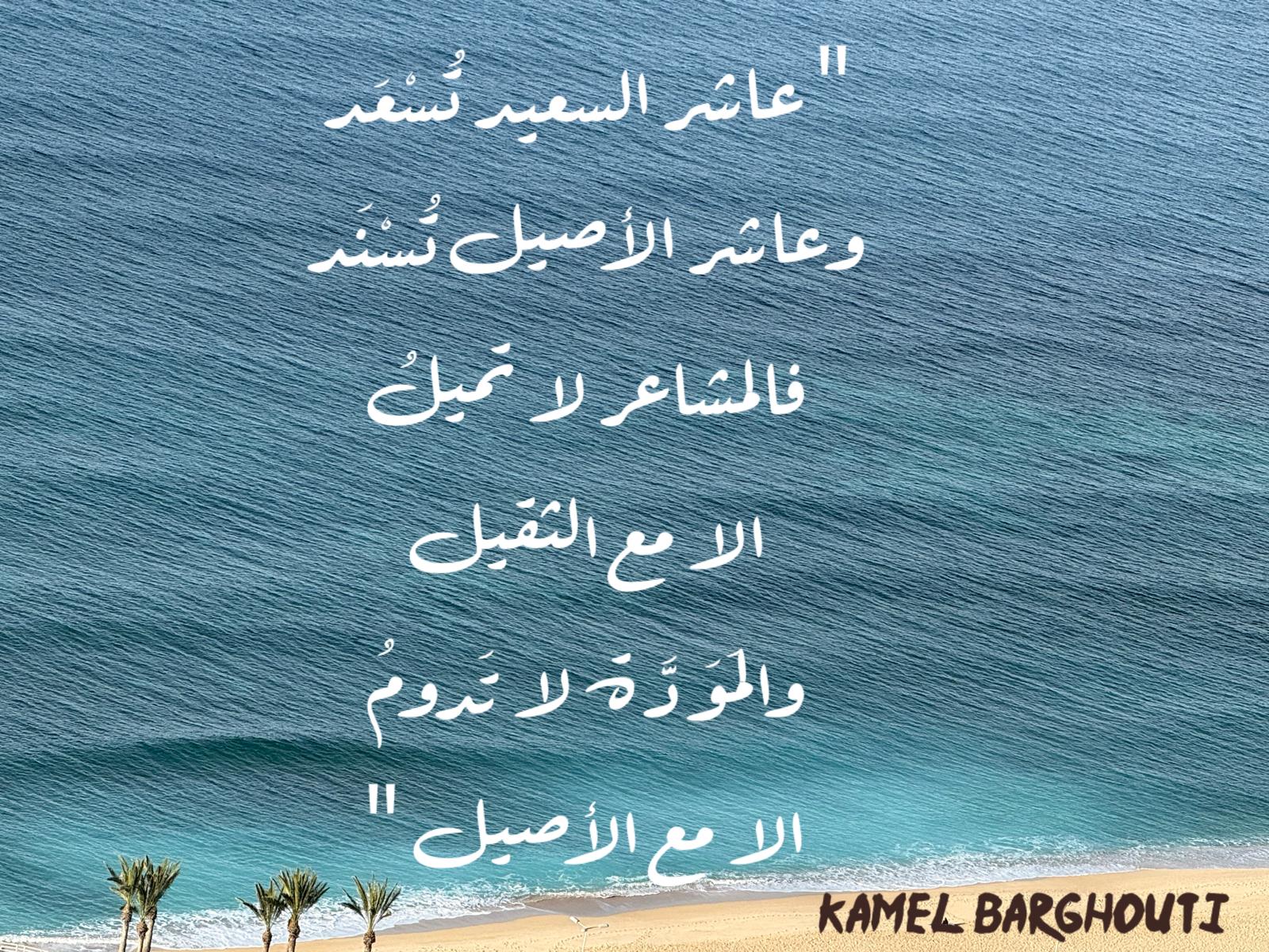 كلام جميل – اقتباس 560