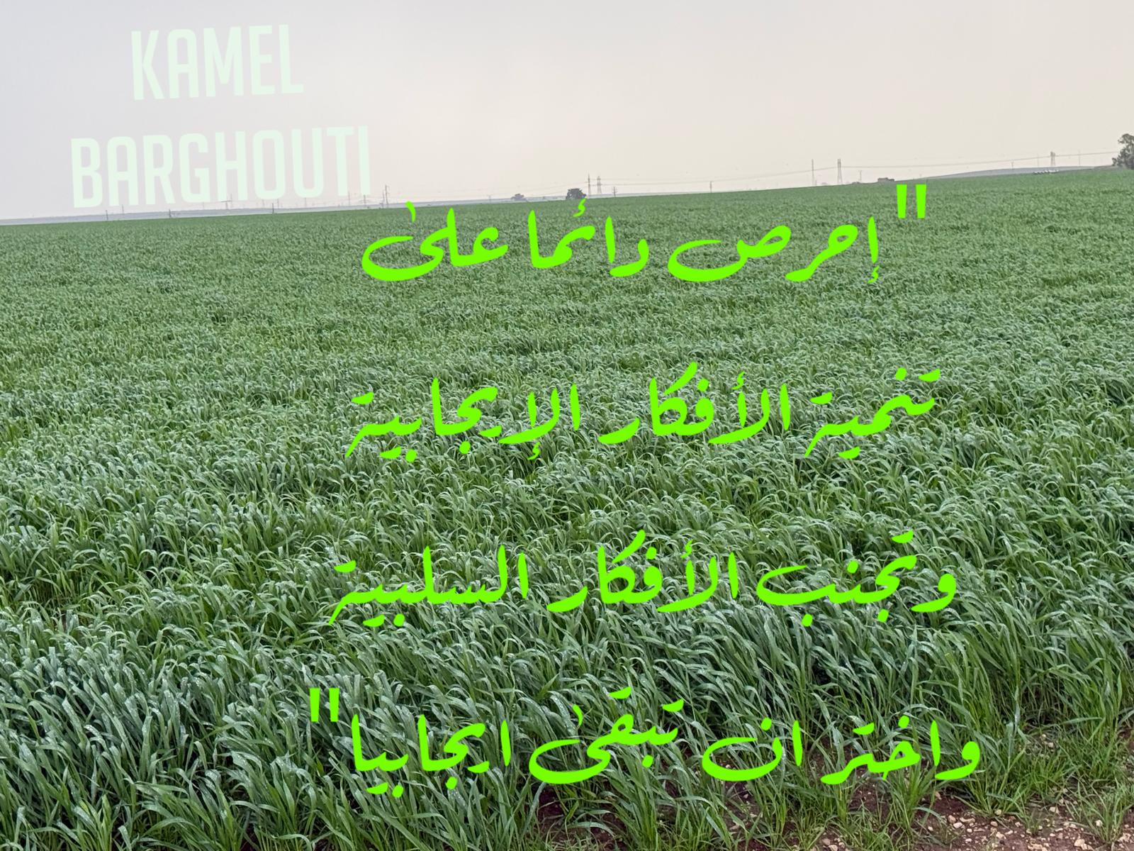 حكمة – اقتباس 271