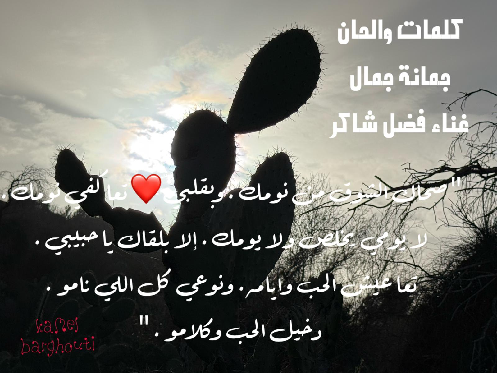 حب وحنين – اقتباس 519