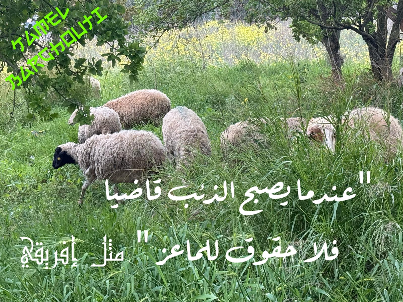 حكمة – اقتباس 267