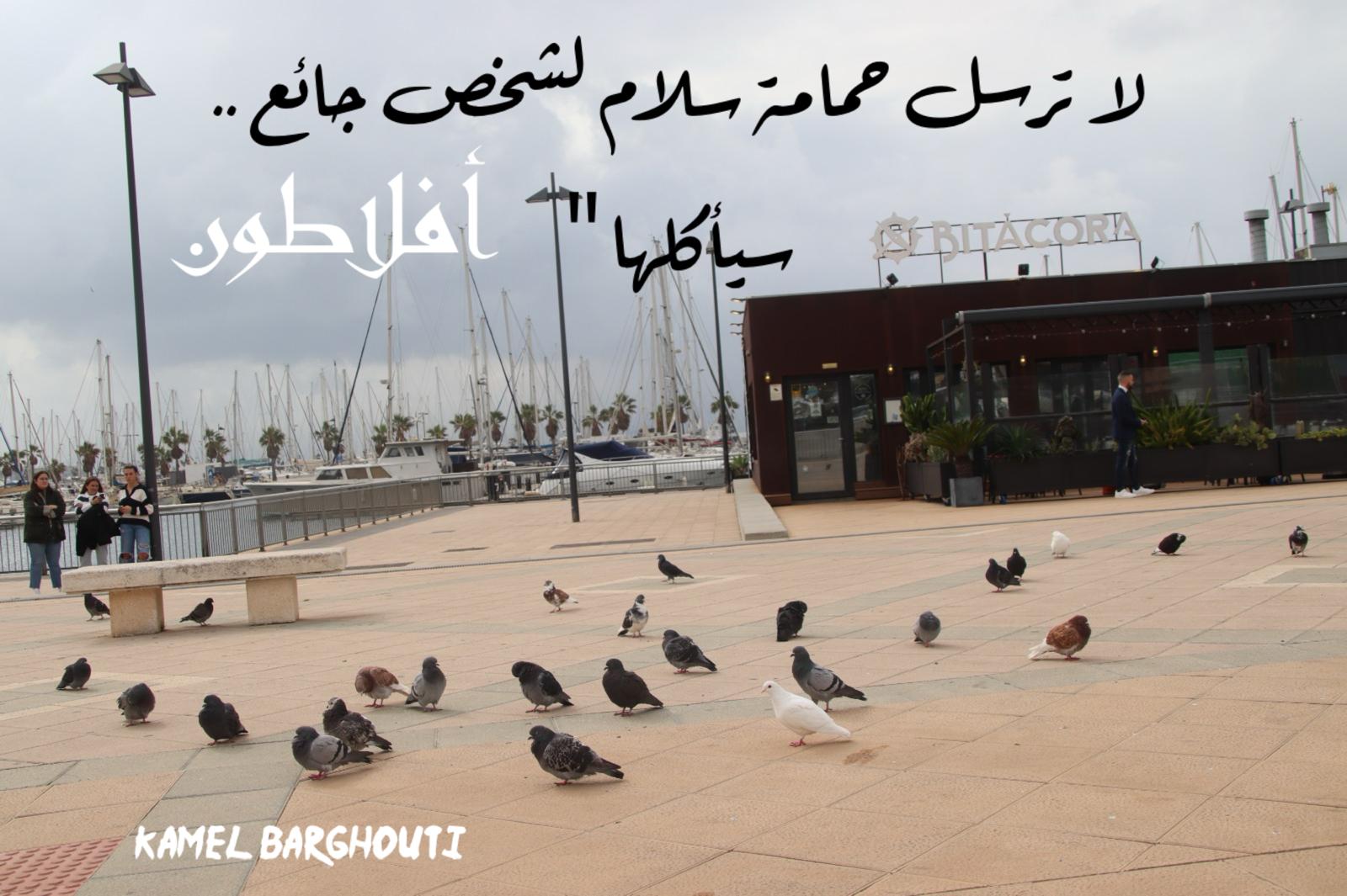 حكمة – اقتباس 265