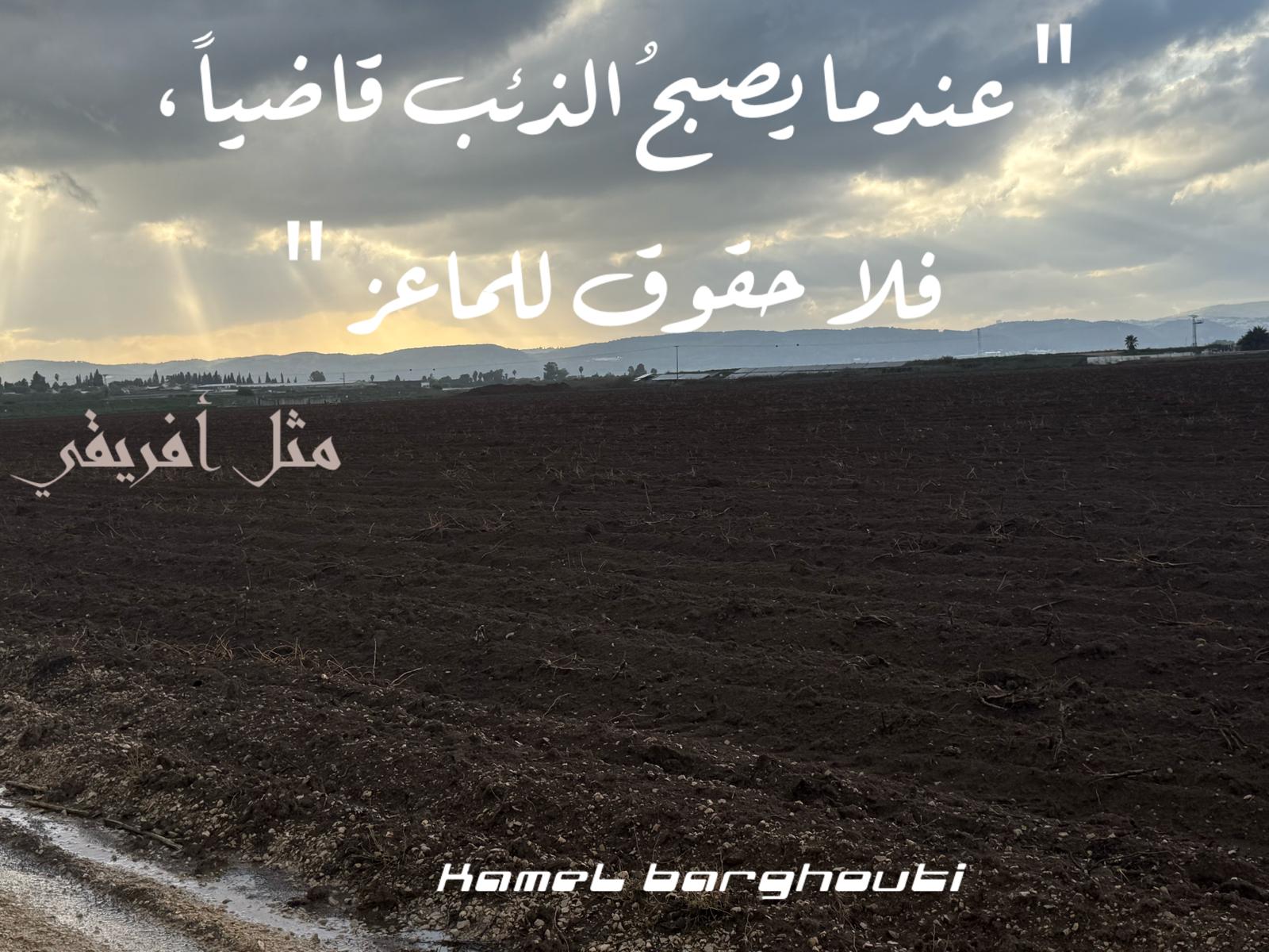 أمثال محلية – اقتباس 111