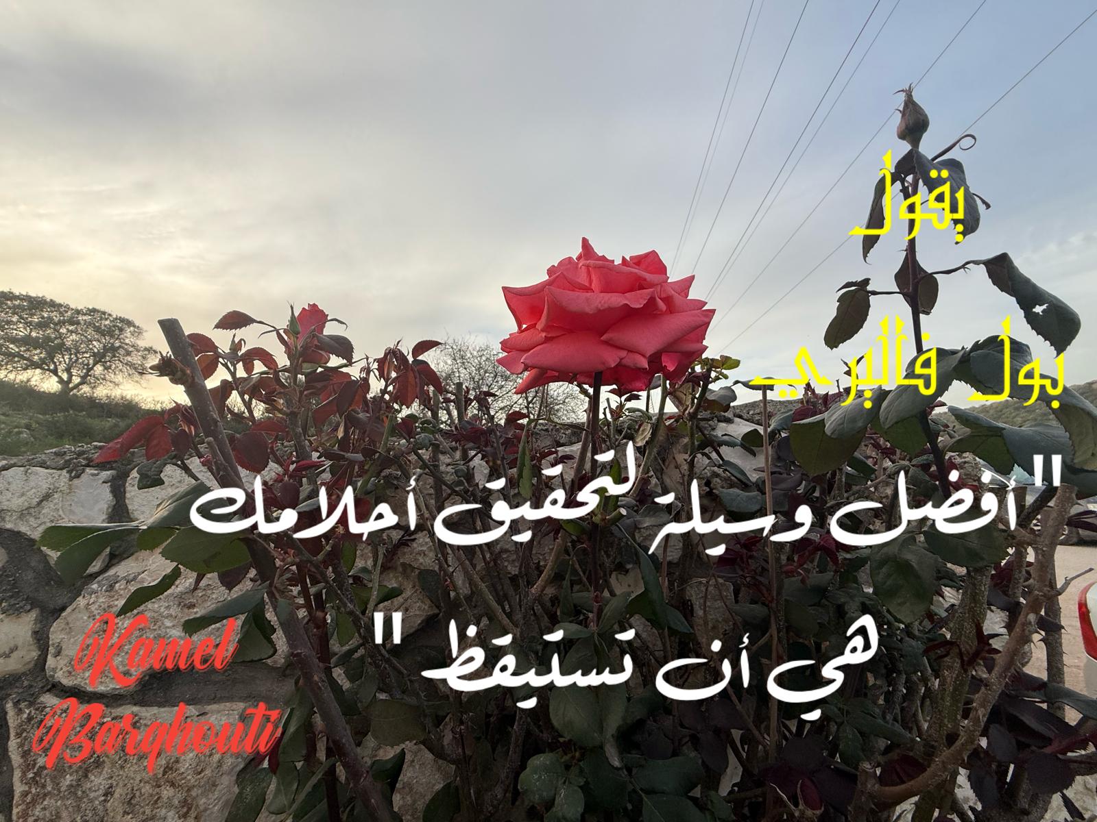 حكمة – اقتباس 262
