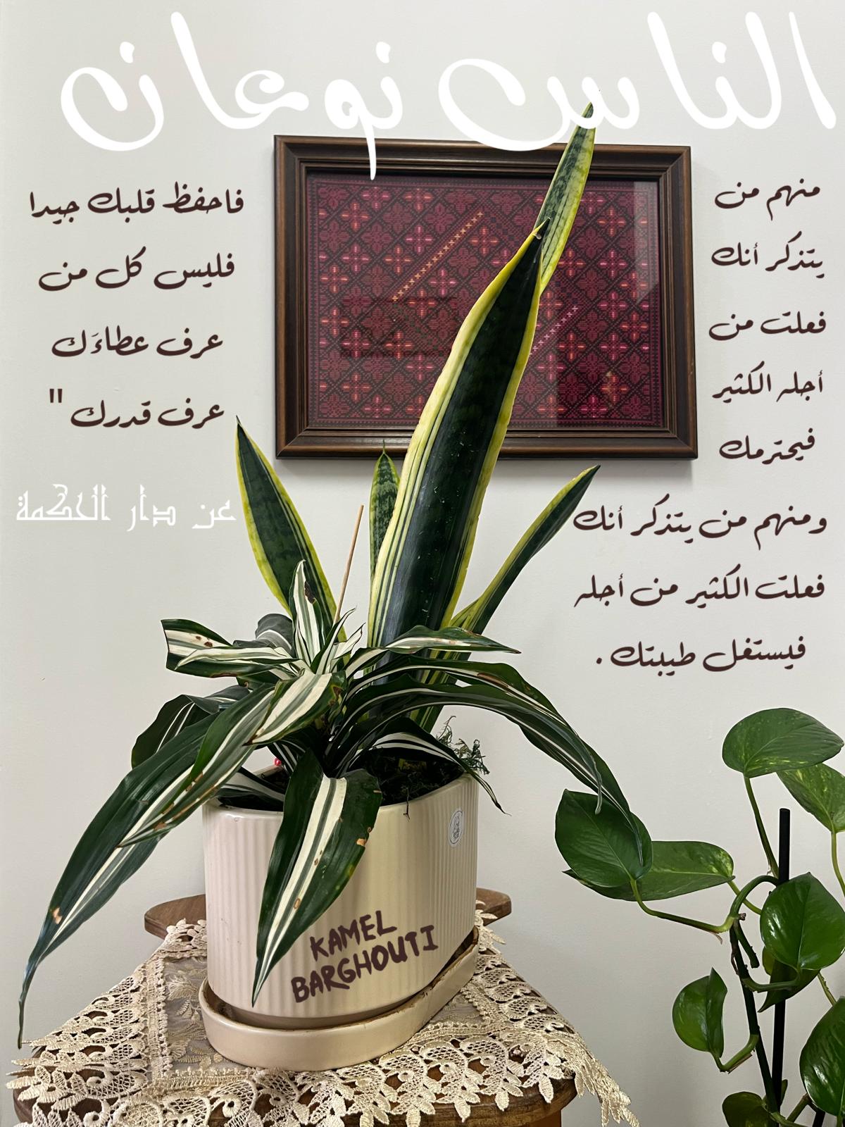 كلام جميل – اقتباس 542