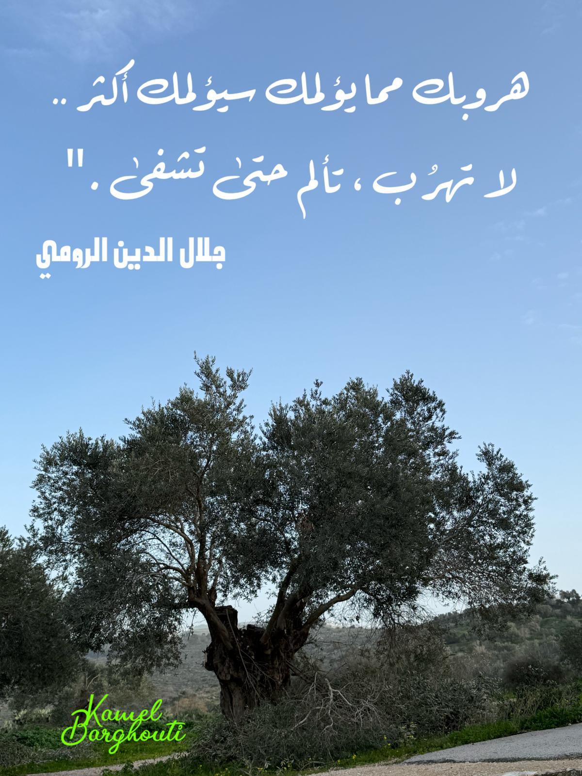 حكمة – اقتباس 253