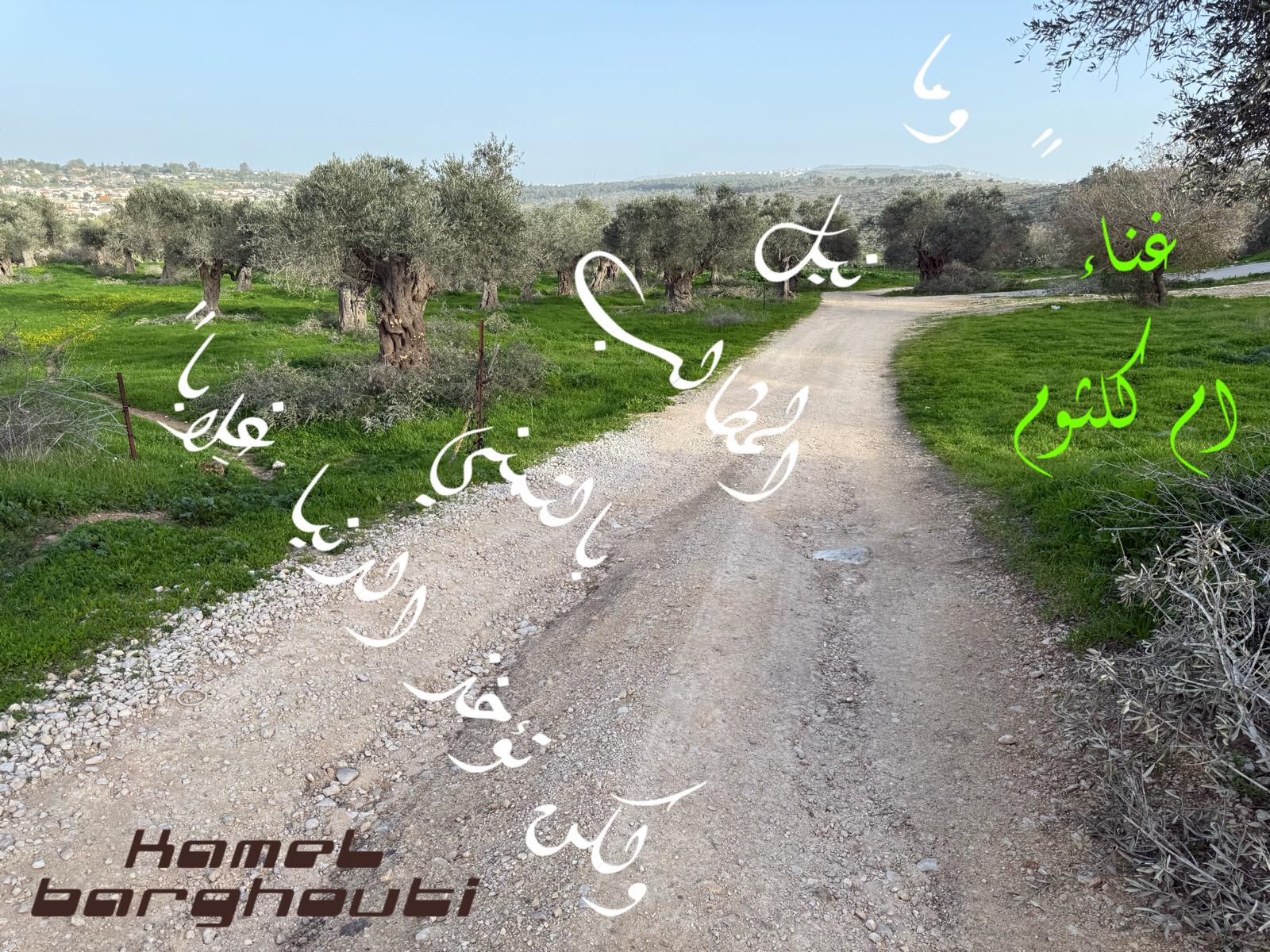 العزيمة والإصرار والثقة بالنفس – اقتباس 277