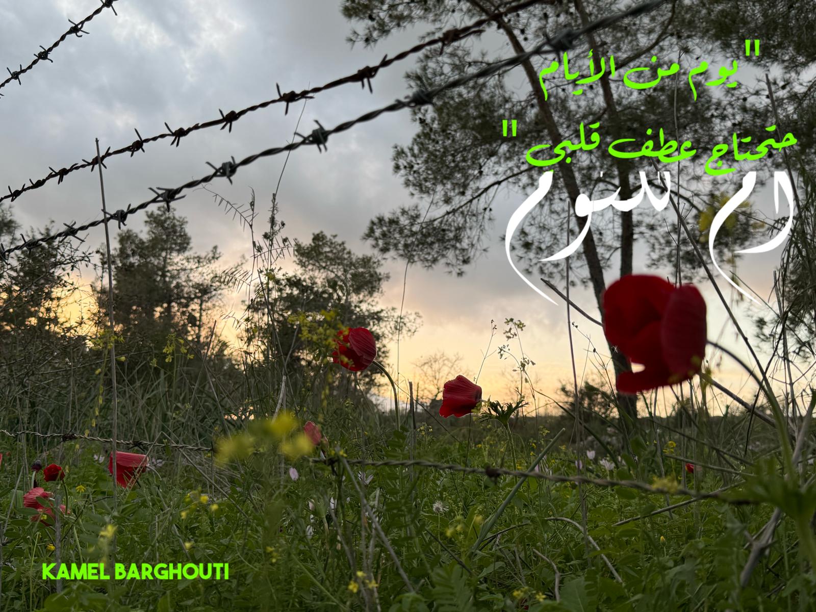 حب وحنين – اقتباس 510