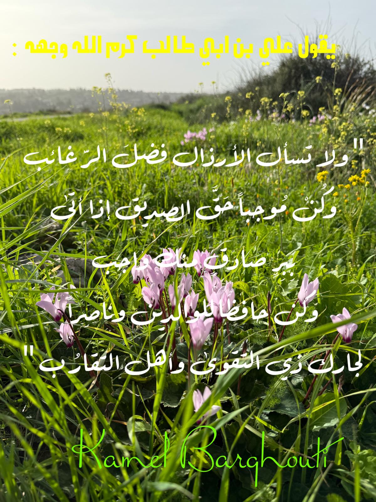 اللطف والاحترام – اقتباس 12
